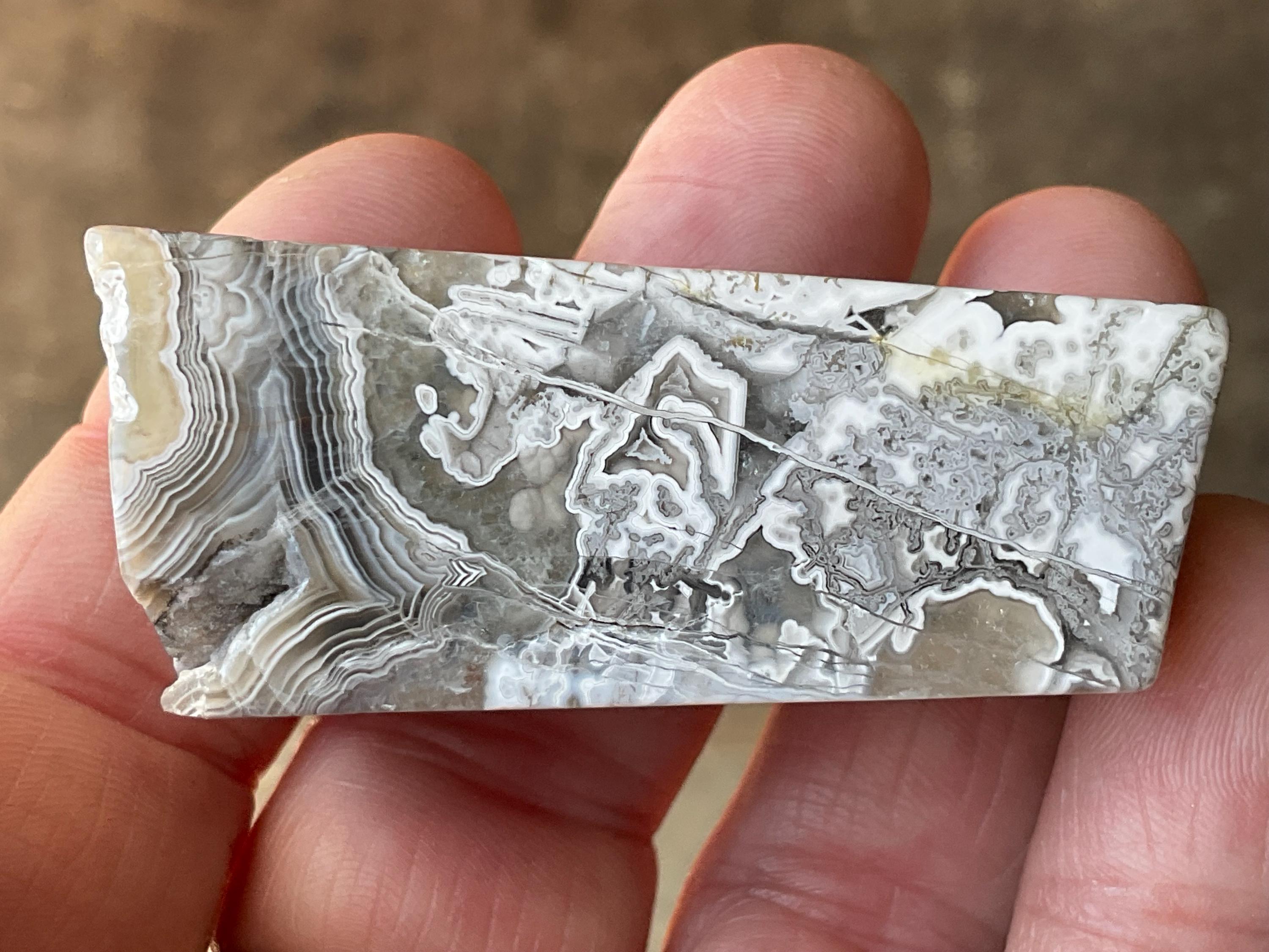 54g Mexican Crazy Lace Agate Freeform 12B