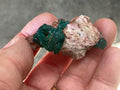 28g Congolese Dioptase Specimen 9C