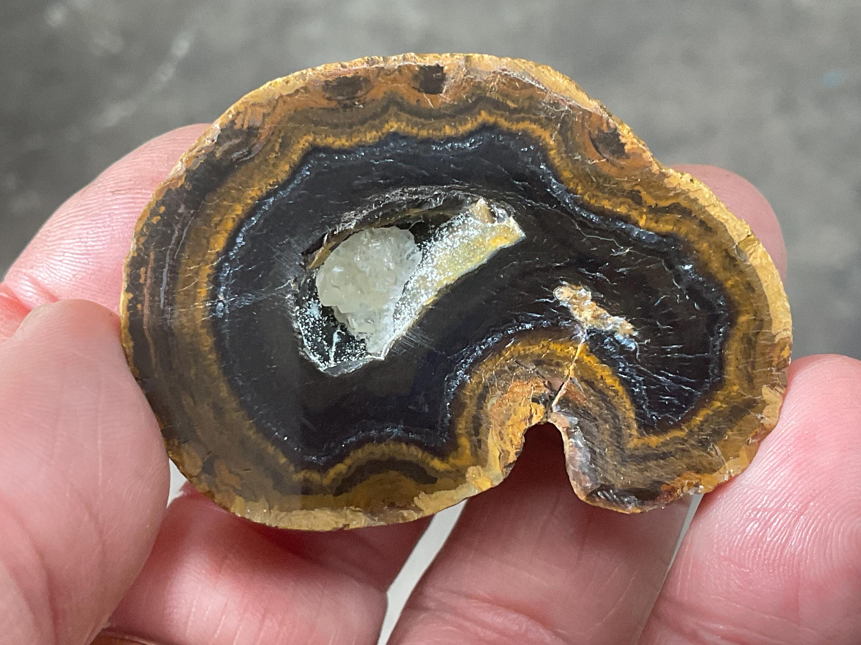 50g UV Reactive Polished Agate Half 2A