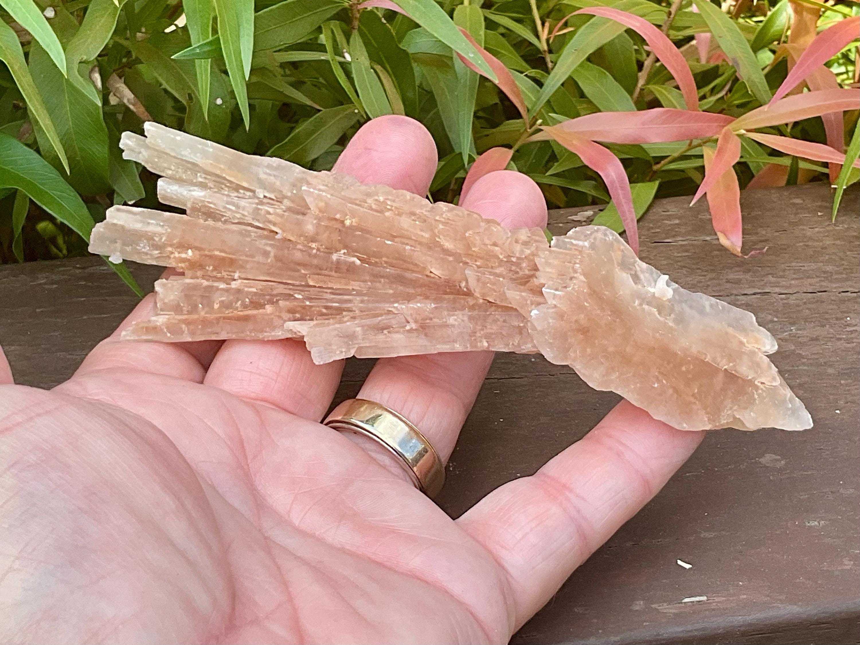 66g Gypsum (Selenite) Specimen from Lake Gilles, South Australia