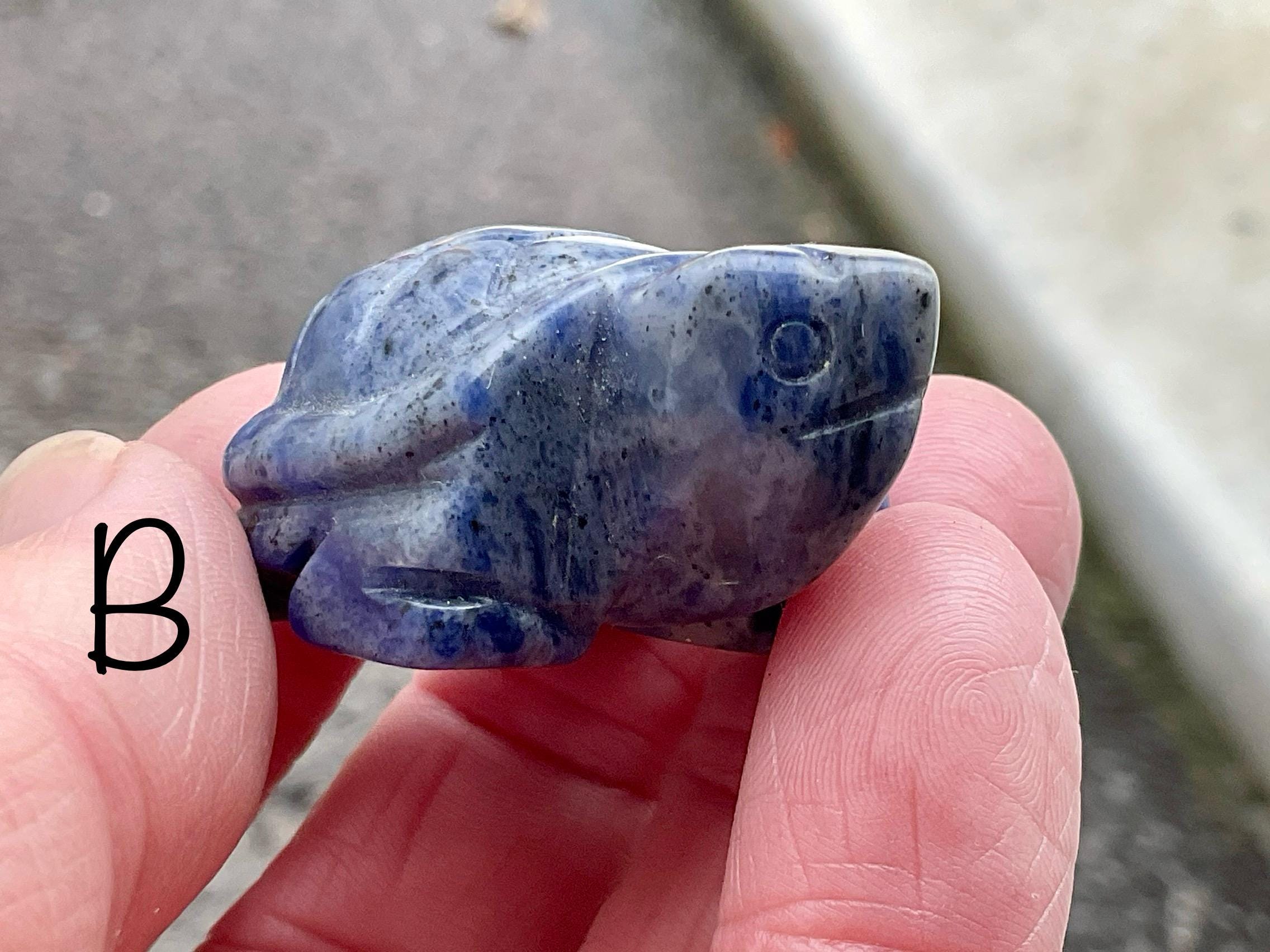 Sodalite Small Turtle Group 2