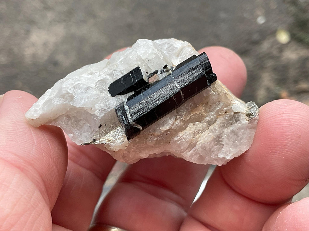 56g Western Australian Black Tourmaline (Schorl) in Quartz with Mica Specimen