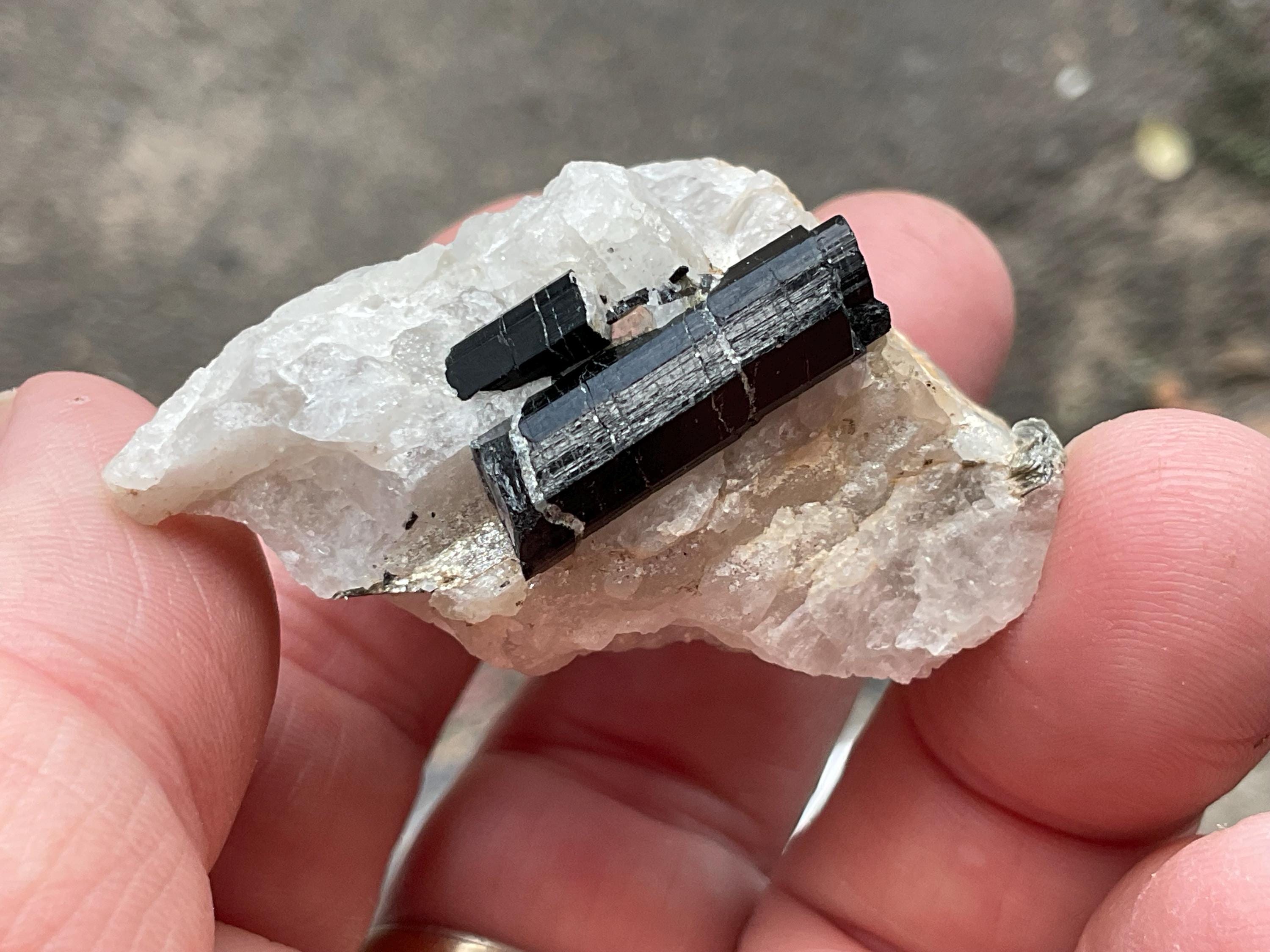56g Western Australian Black Tourmaline (Schorl) in Quartz with Mica Specimen