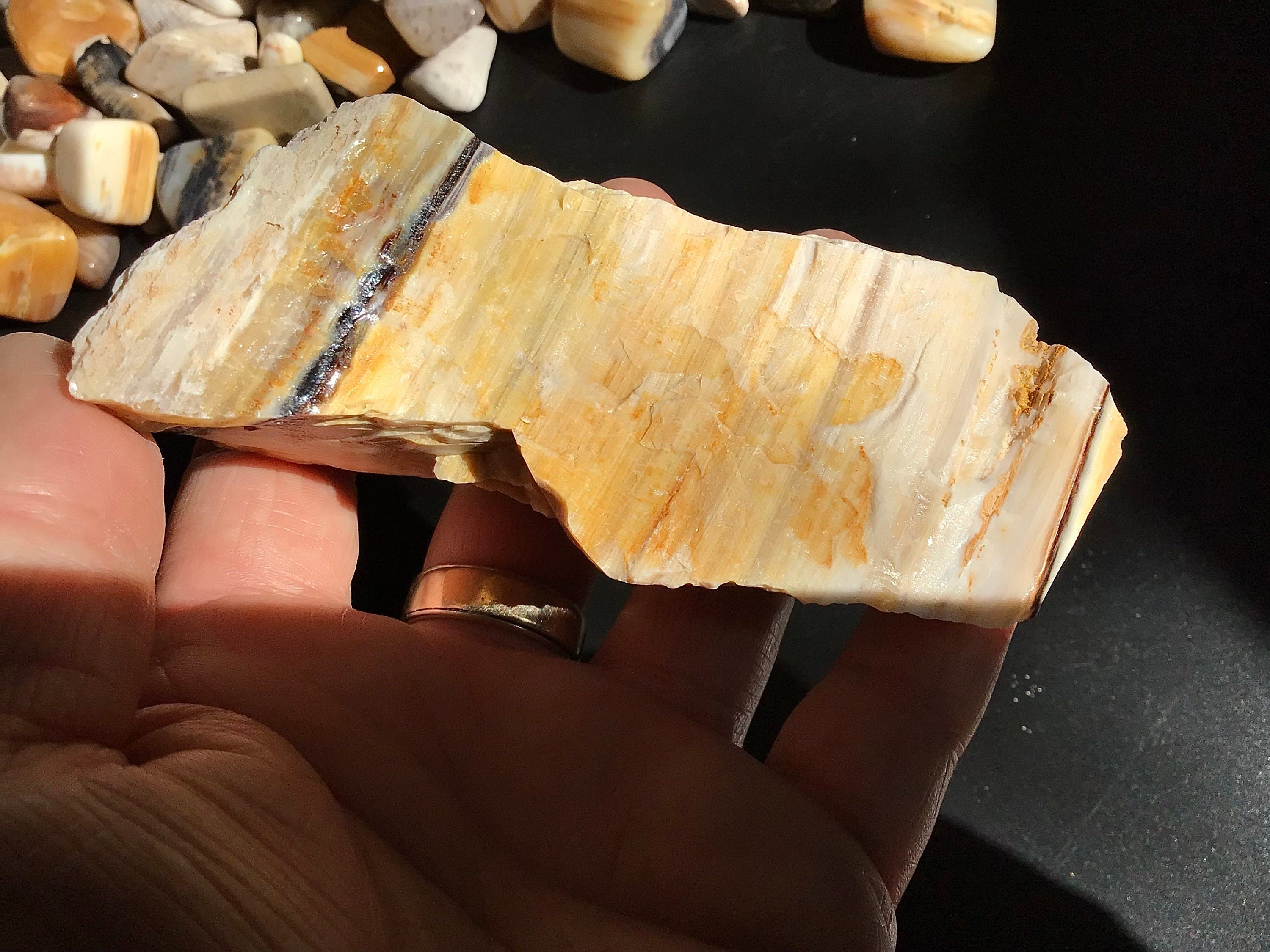 160g Natural Opalised Wood Rough Piece 6A