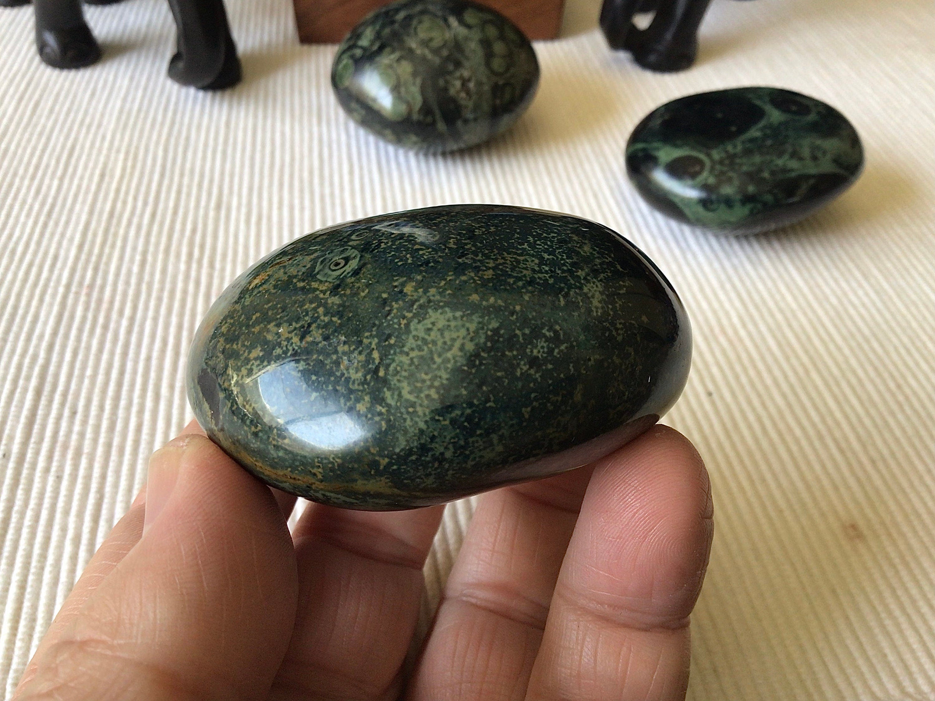 173g Kambaba Jasper Palmstone 4B