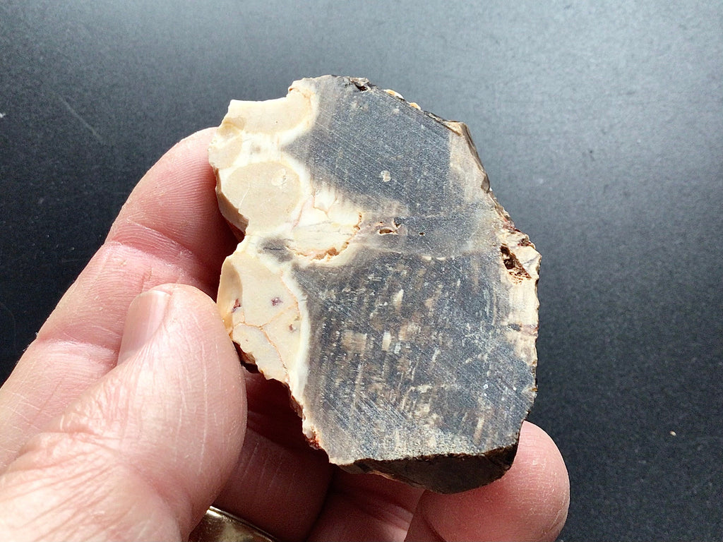 75g Sliced Western Australian Peanut Wood 4B