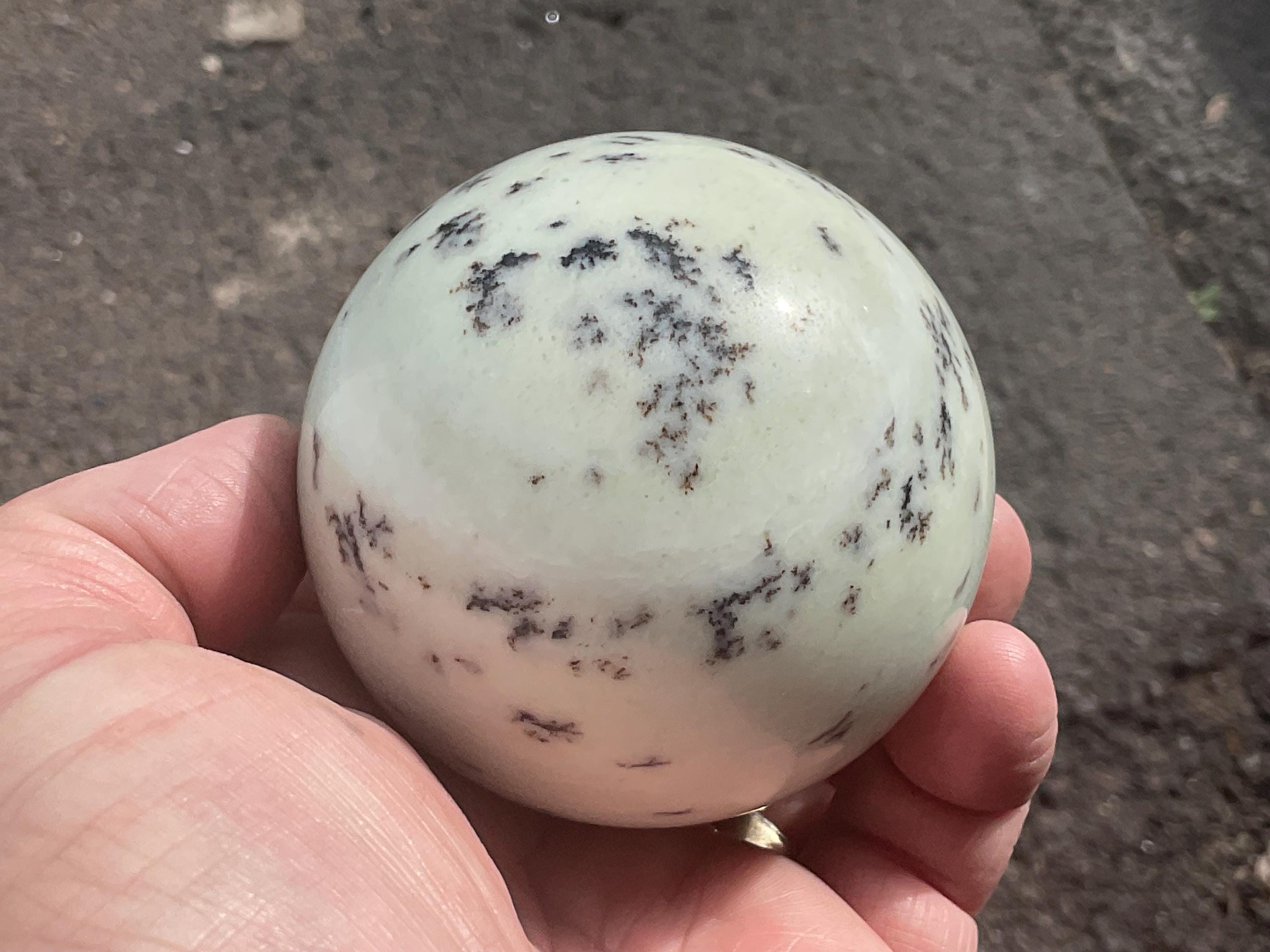 436g Chinese Dendritic Jasper/Siltstone Sphere C