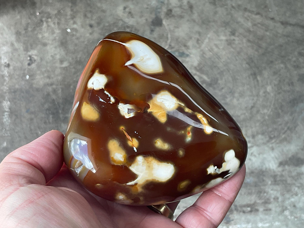 646g Carnelian Orca Agate Freeform 9A