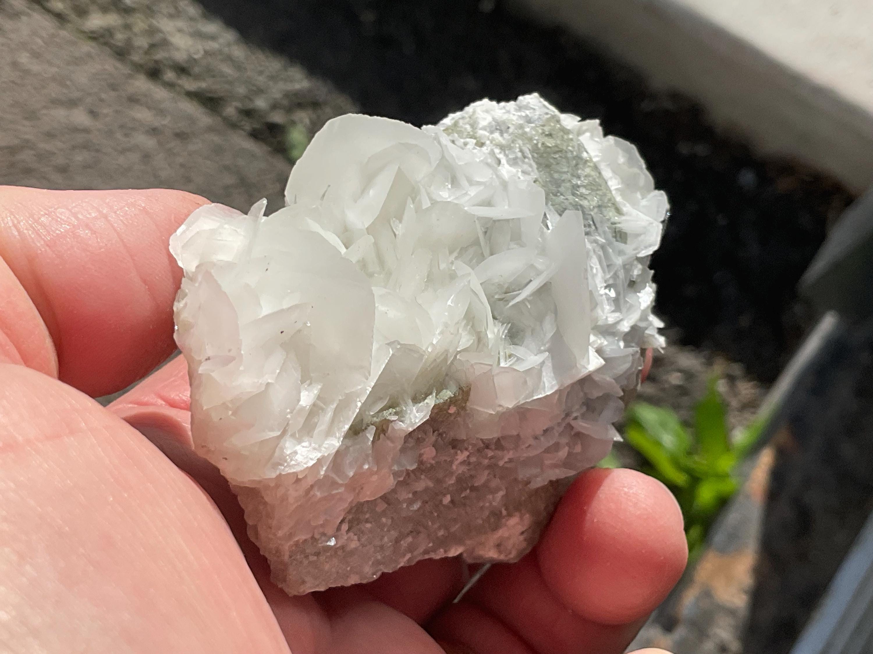 158g UV Reactive “Angel Wing” Calcite Specimen 1B from Hunan, China