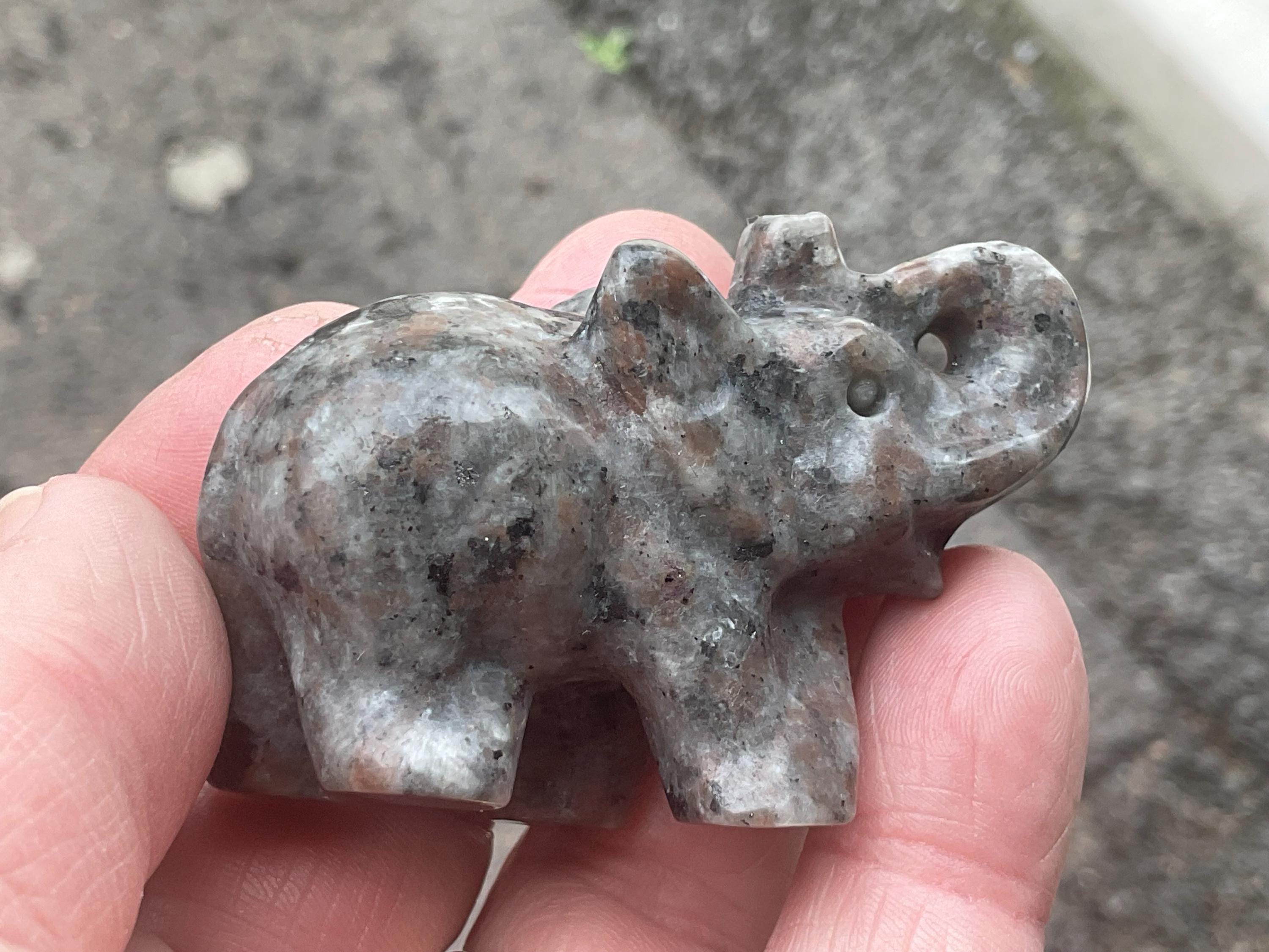 70g Syenite with Sodalite (Yooperlite) Elephant Carving A