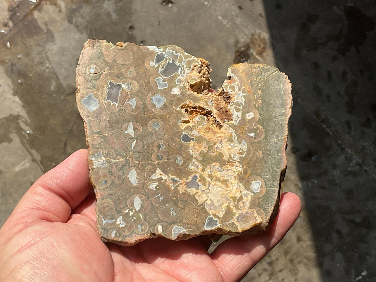 326g Mt Hay Rhyolite (Amulet Stone) Unpolished Slab