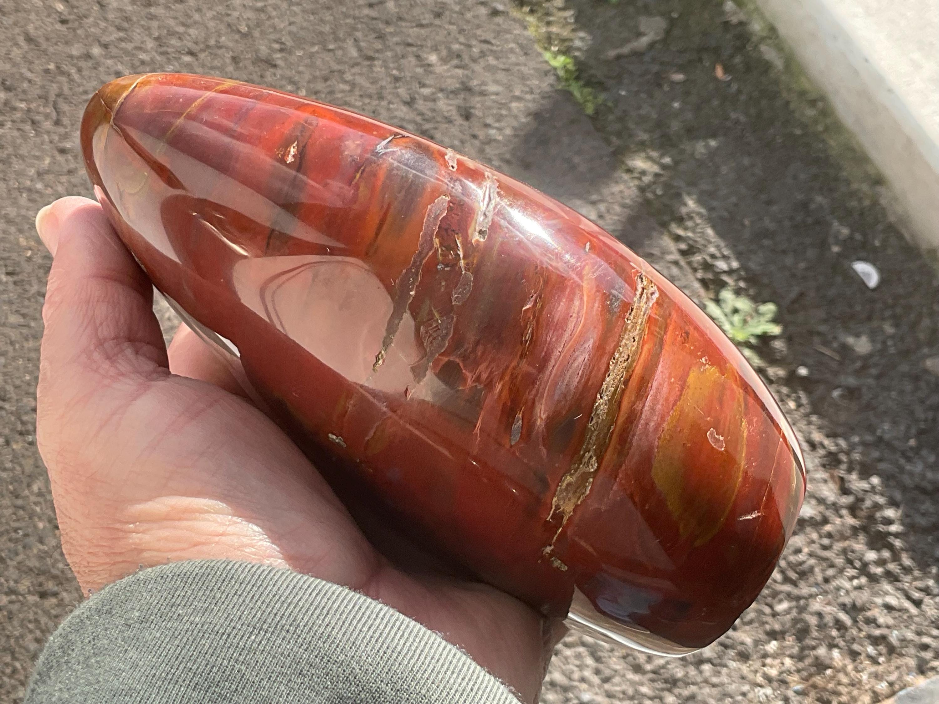 1.5kg Red Petrified Wood Freeform from Madagascar