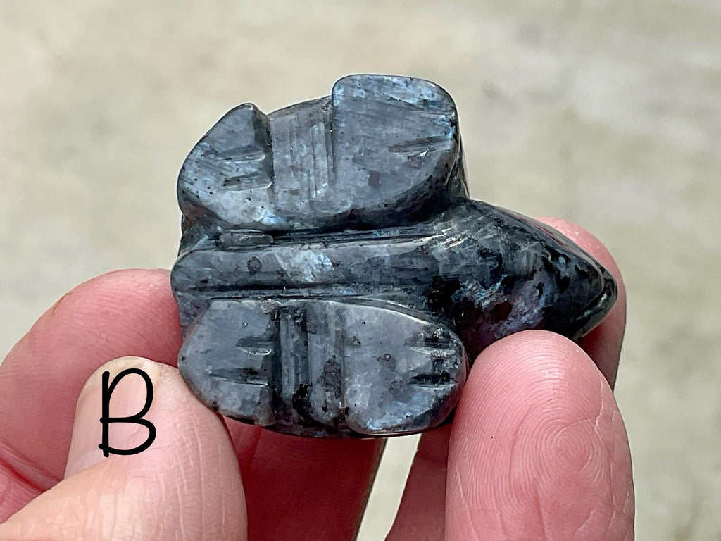 Larvikite Small Turtle Group 1