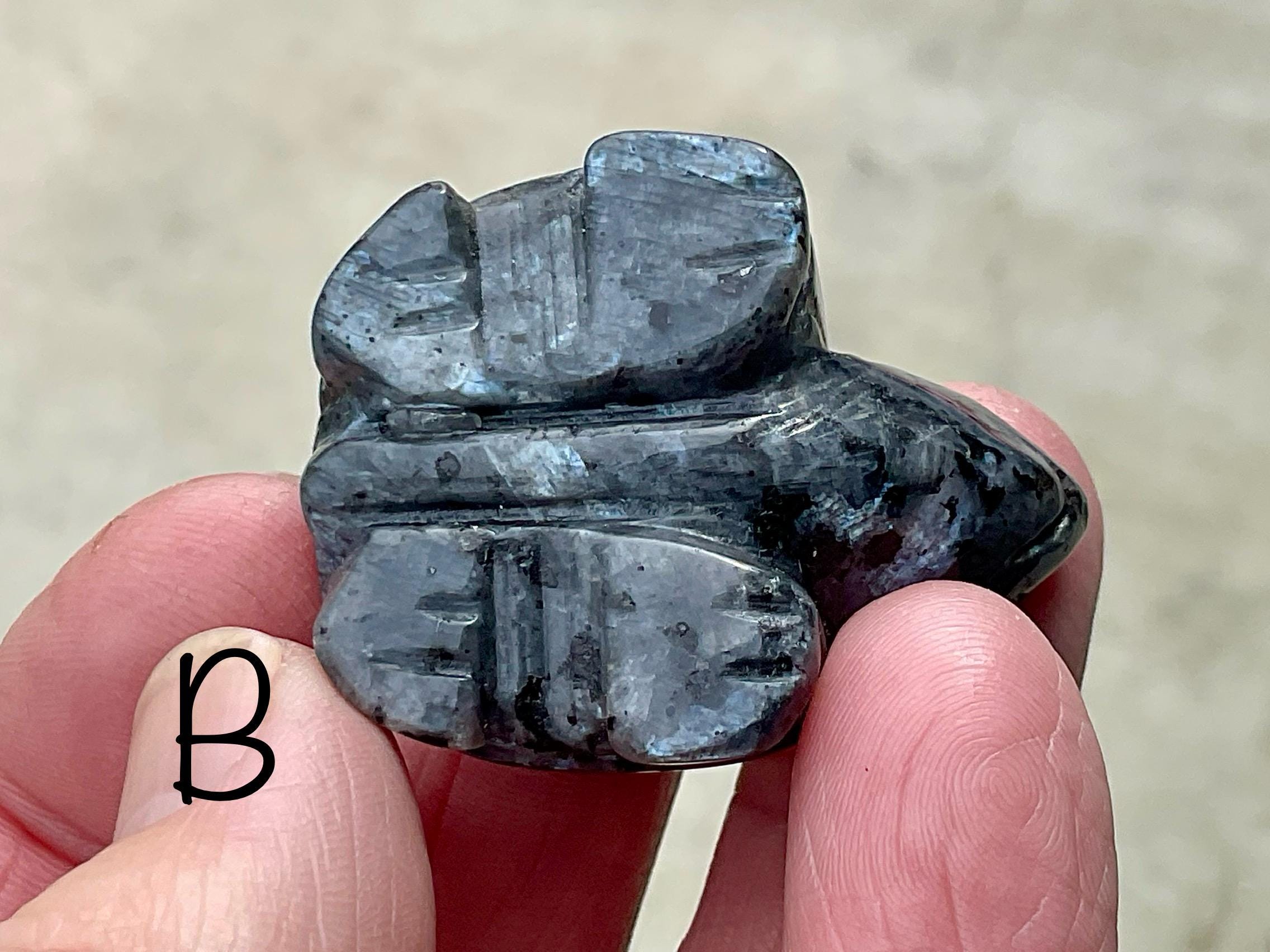 Larvikite Small Turtle Group 1