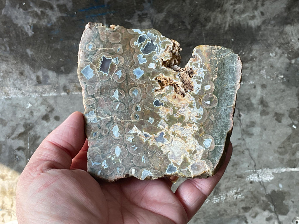 326g Mt Hay Rhyolite (Amulet Stone) Unpolished Slab