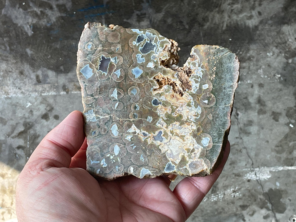 326g Mt Hay Rhyolite (Amulet Stone) Unpolished Slab