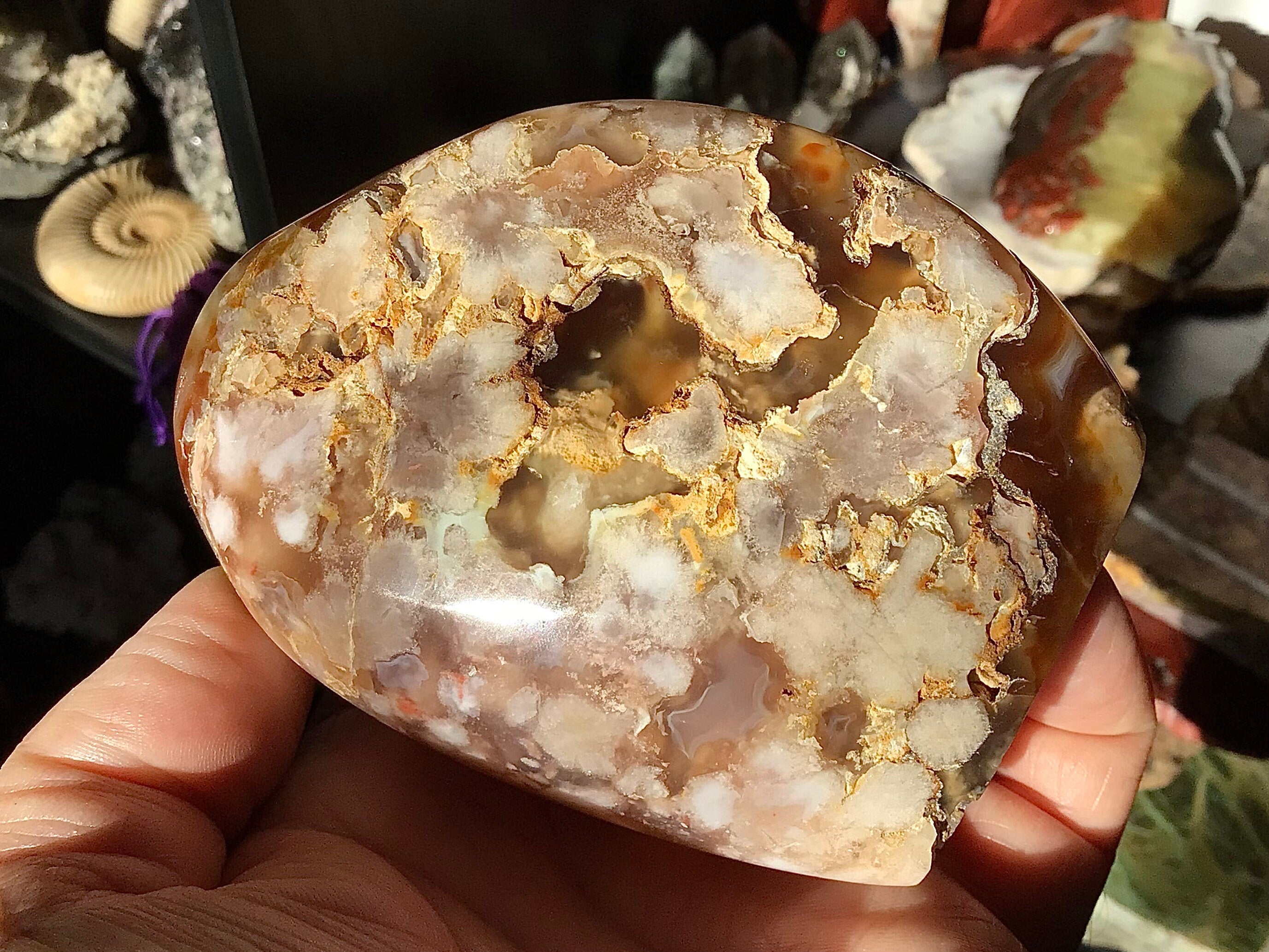 313g Flower Agate Freeform 3B
