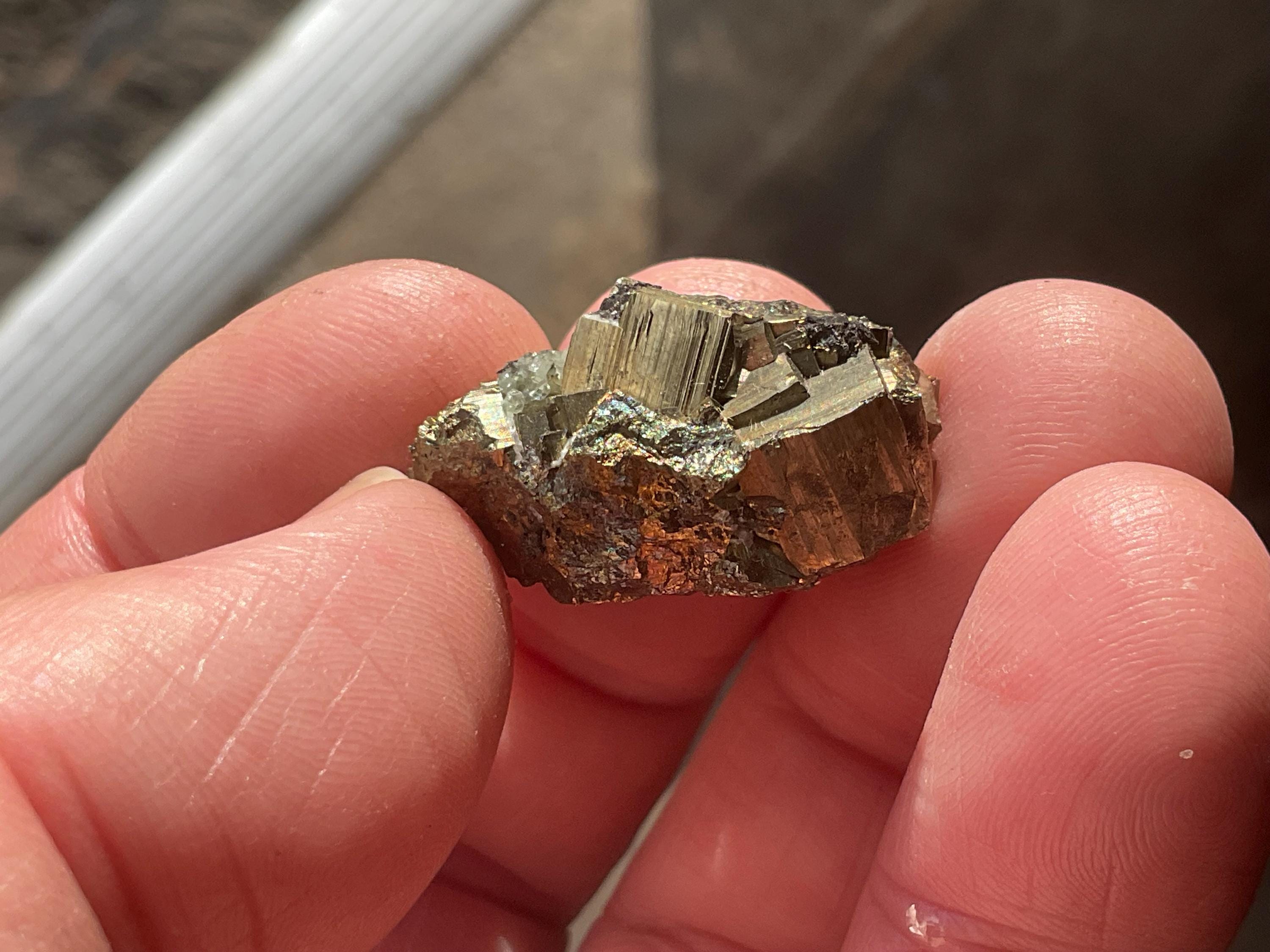 14g Natural Cubic Pyrite Specimen A from Bulgaria