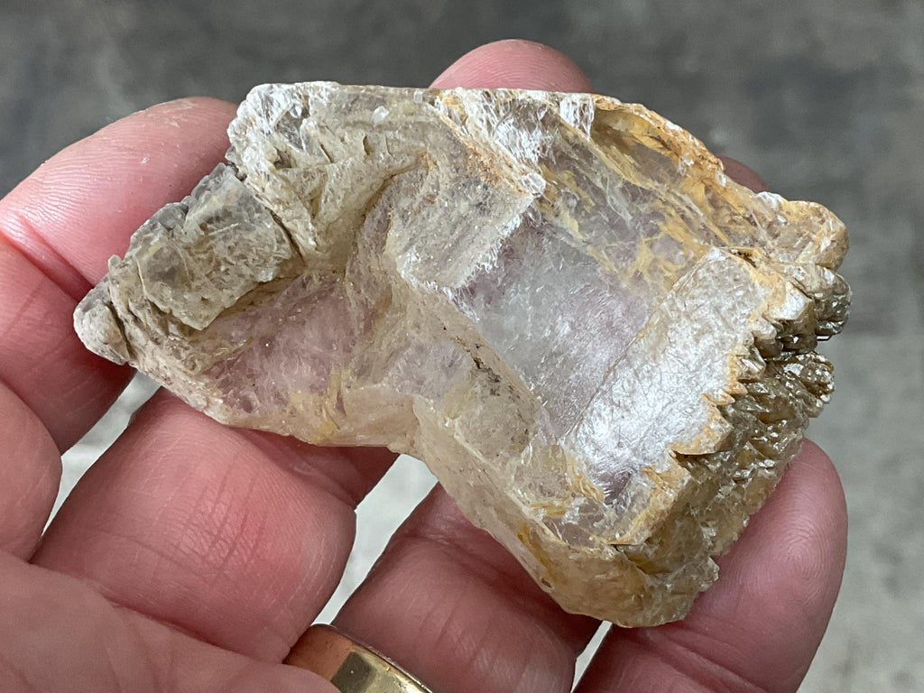 40g “Garden Selenite” Specimen 2A