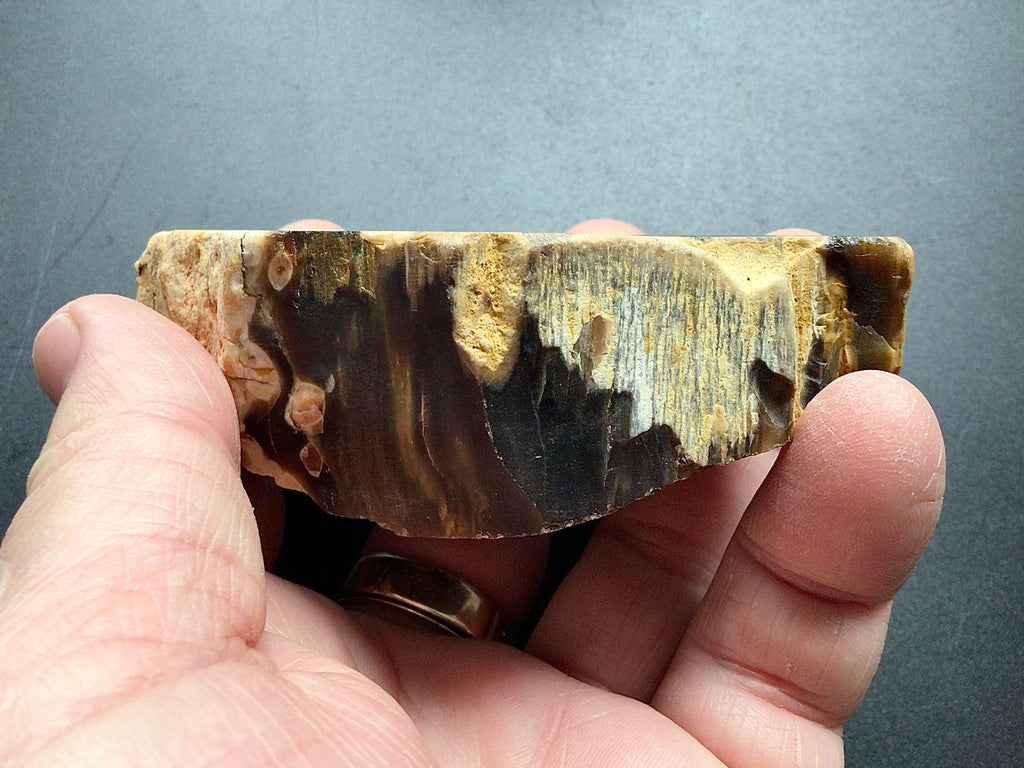 171g Sliced Western Australian Peanut Wood 10C