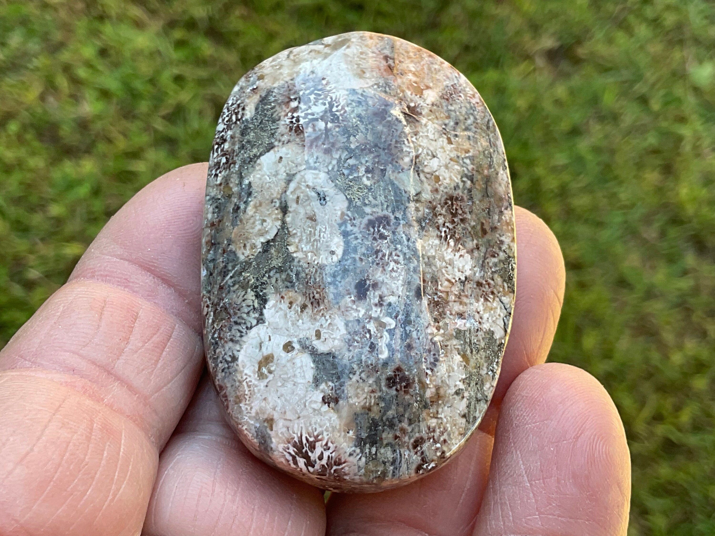 52g Green Cherry Blossom Jasper Palmstone 9B