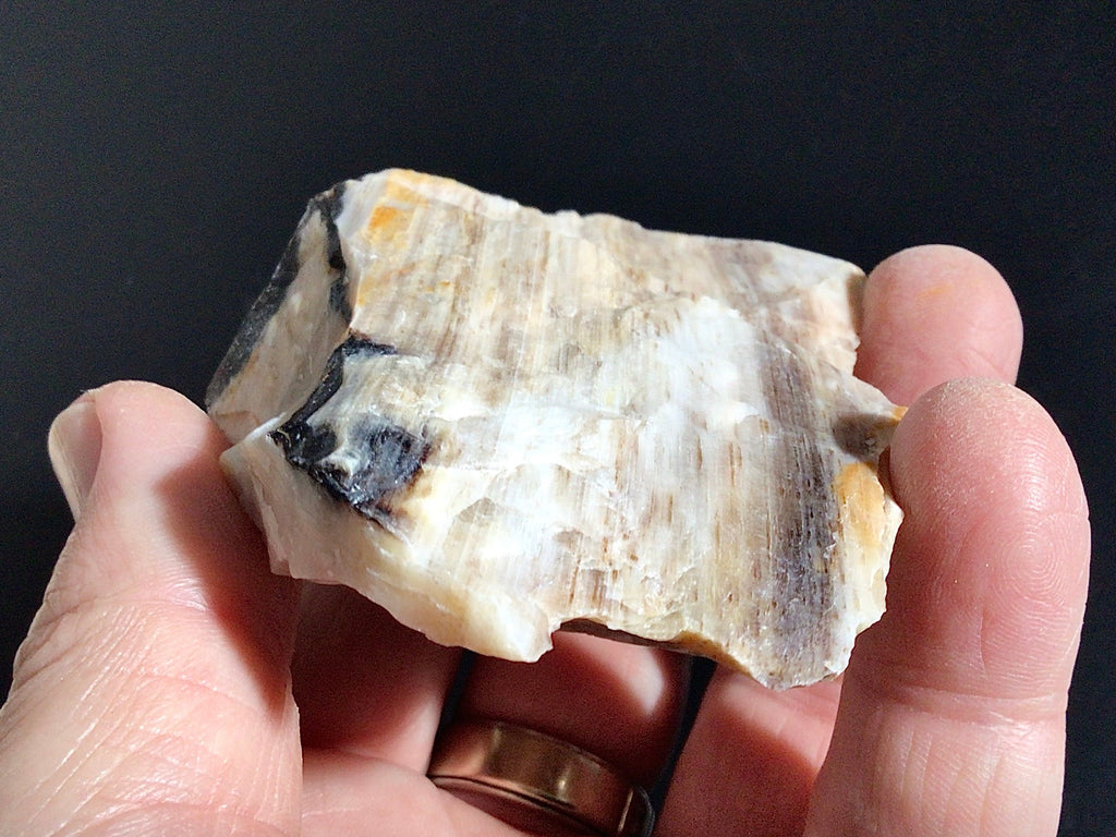 96g Natural Opalised Wood Rough Piece 2C