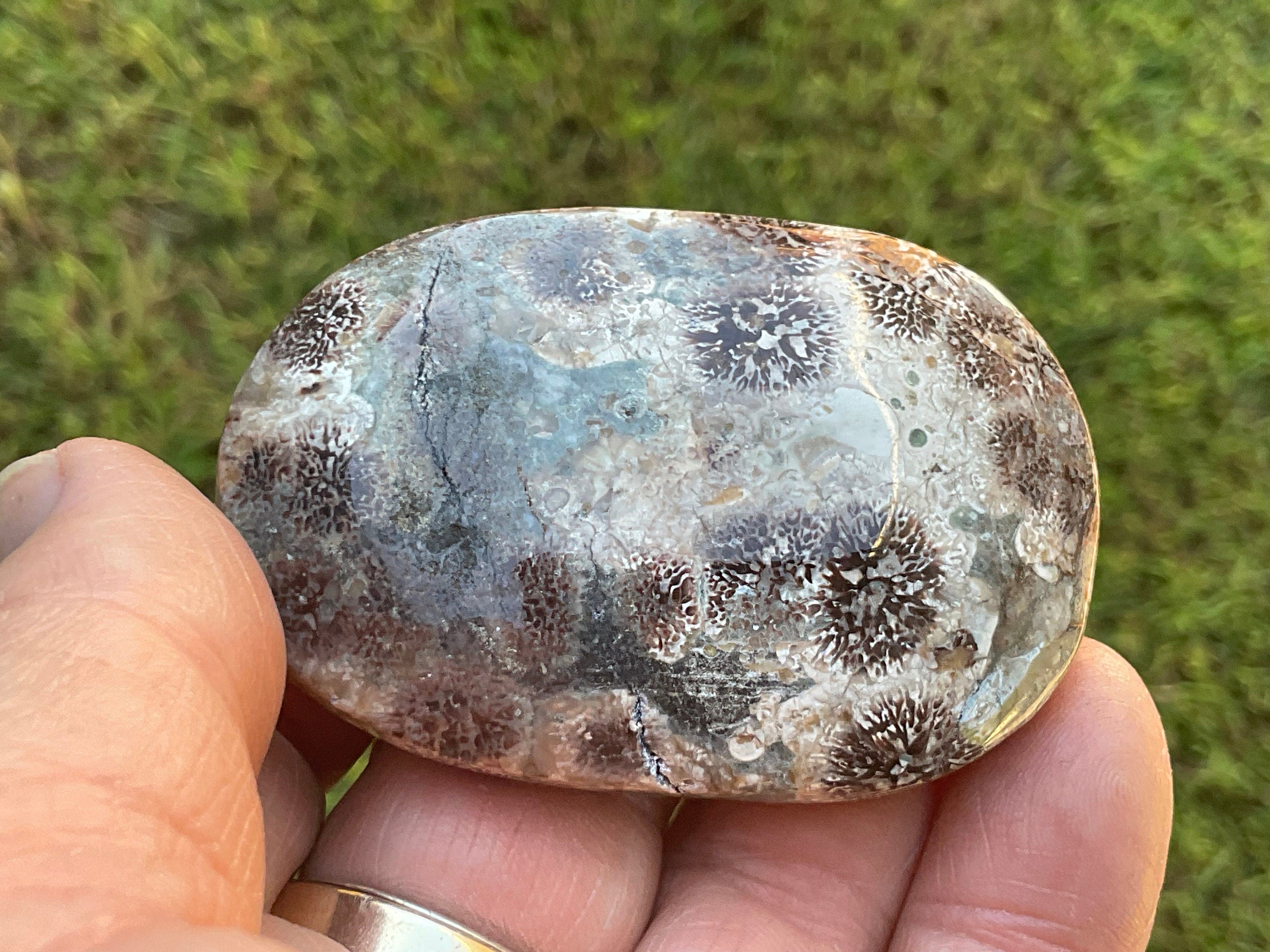 68g Green Cherry Blossom Jasper Palmstone 6A