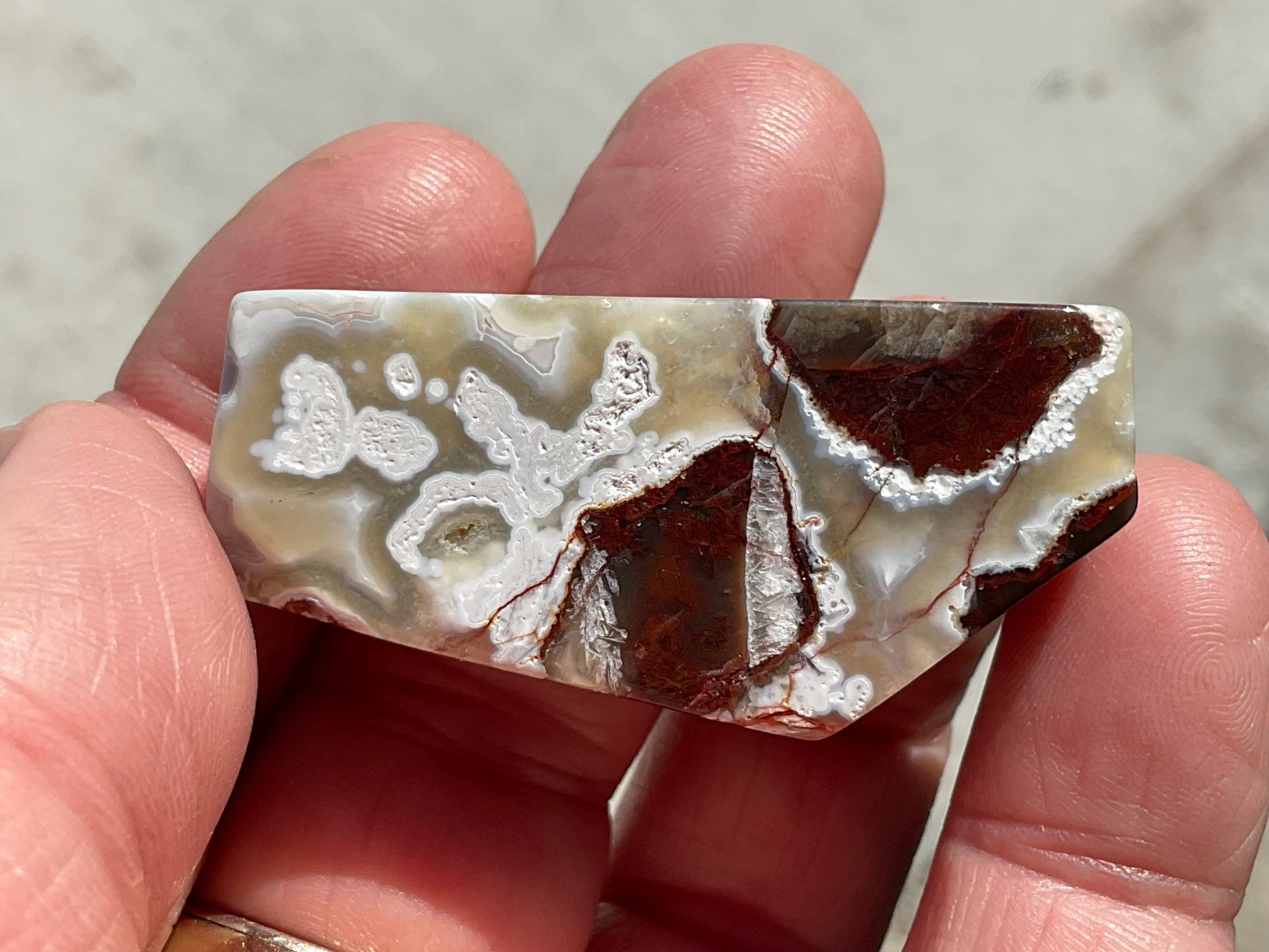 40g Mexican Crazy Lace Agate Freeform 10A
