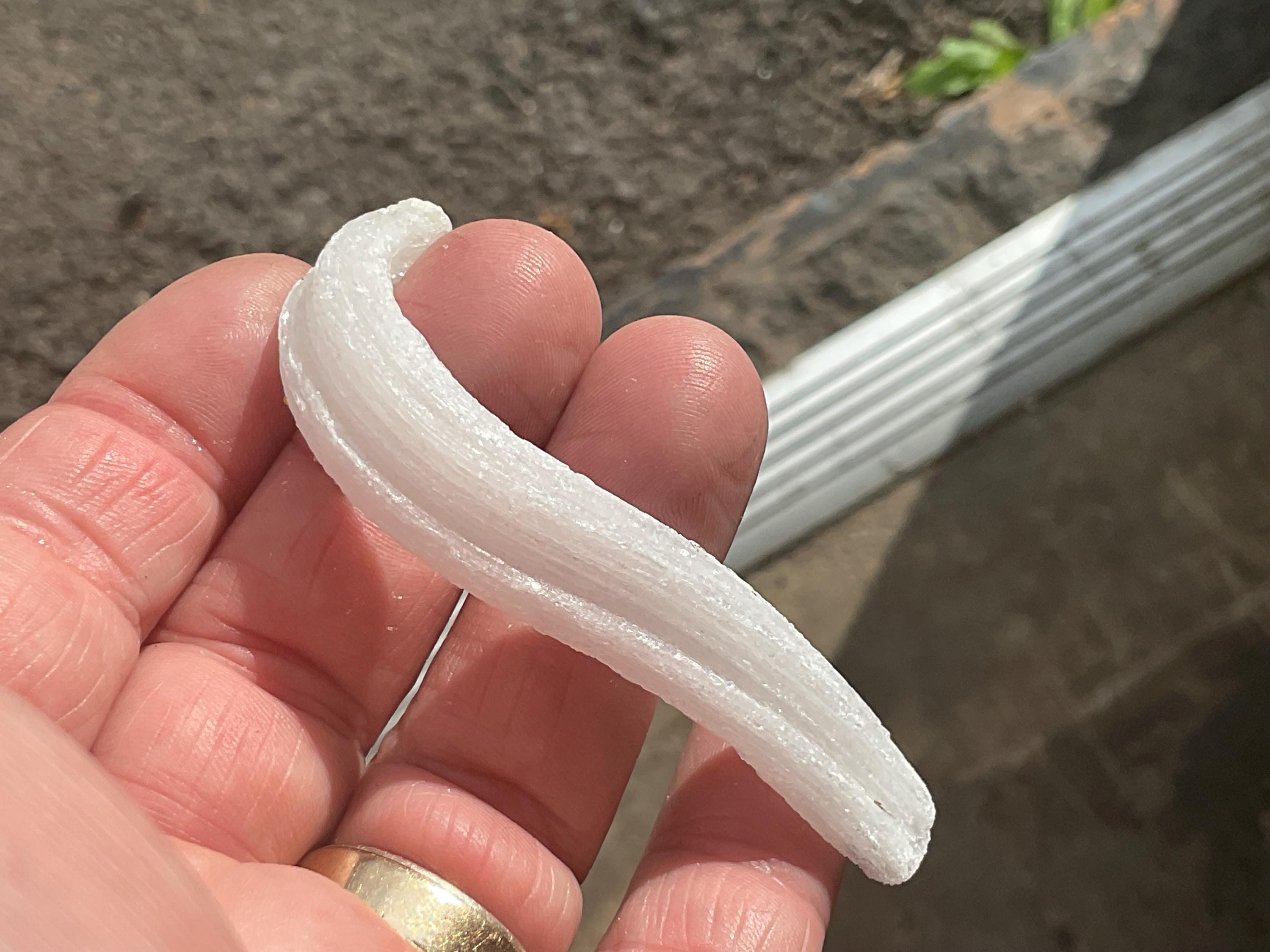 10g Rams Horn Selenite Specimen 4C