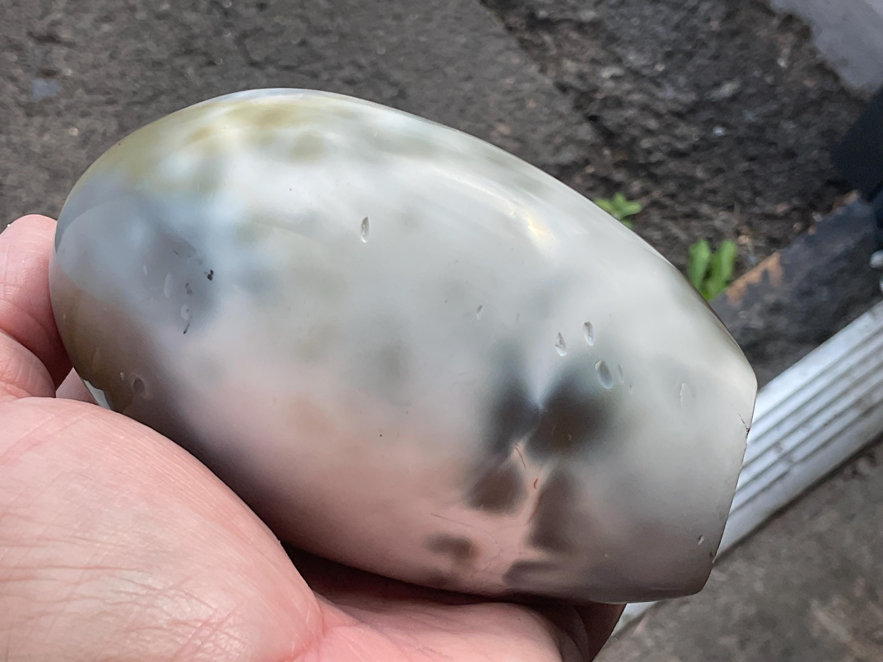 700g Orca Agate Freeform C