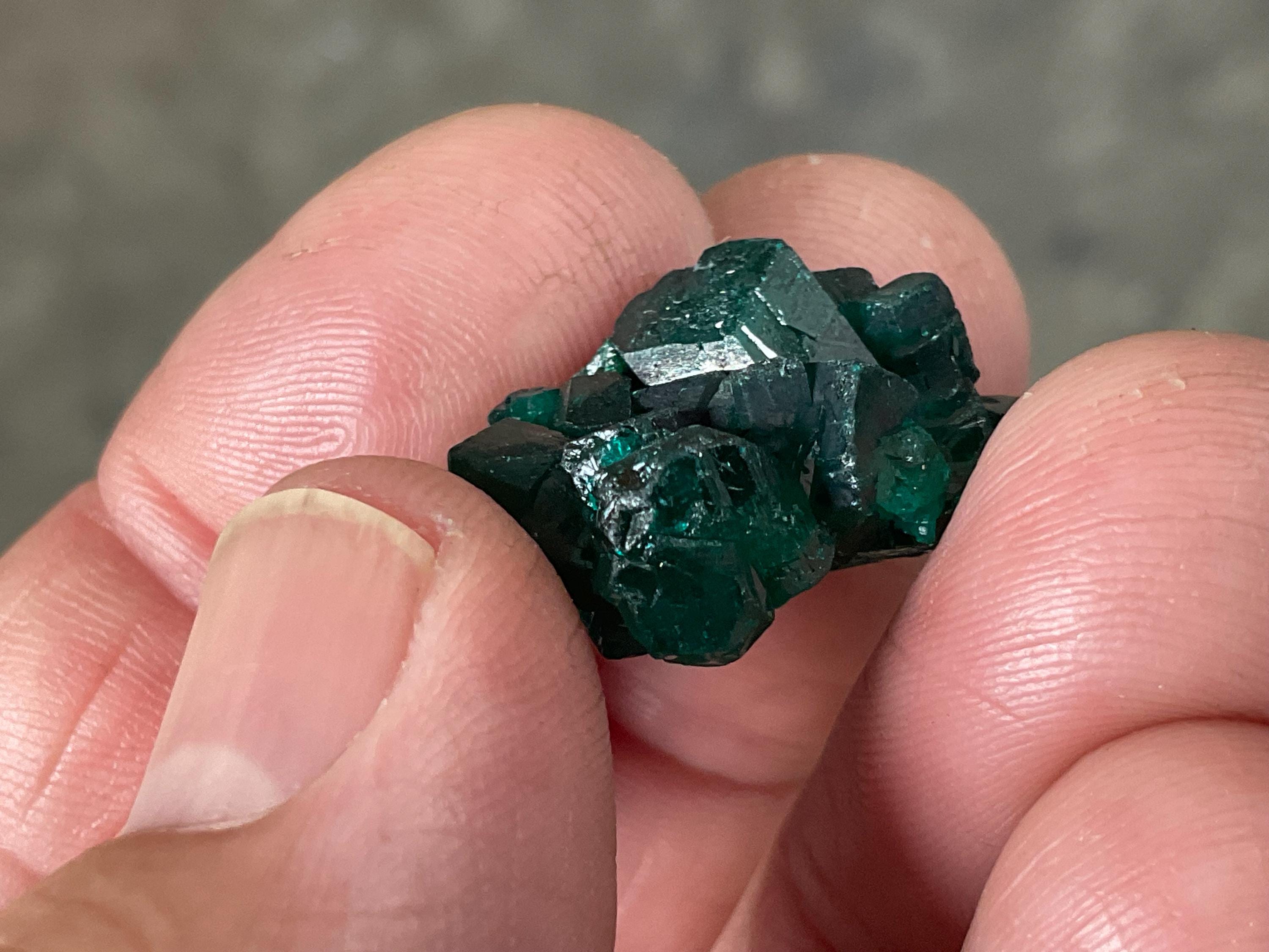RESERVED FOR ASHRA ** 6g Congolese Dioptase Specimen B