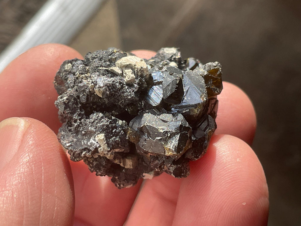 36g Chalcopyrite on Marmatite Specimen from Bulgaria