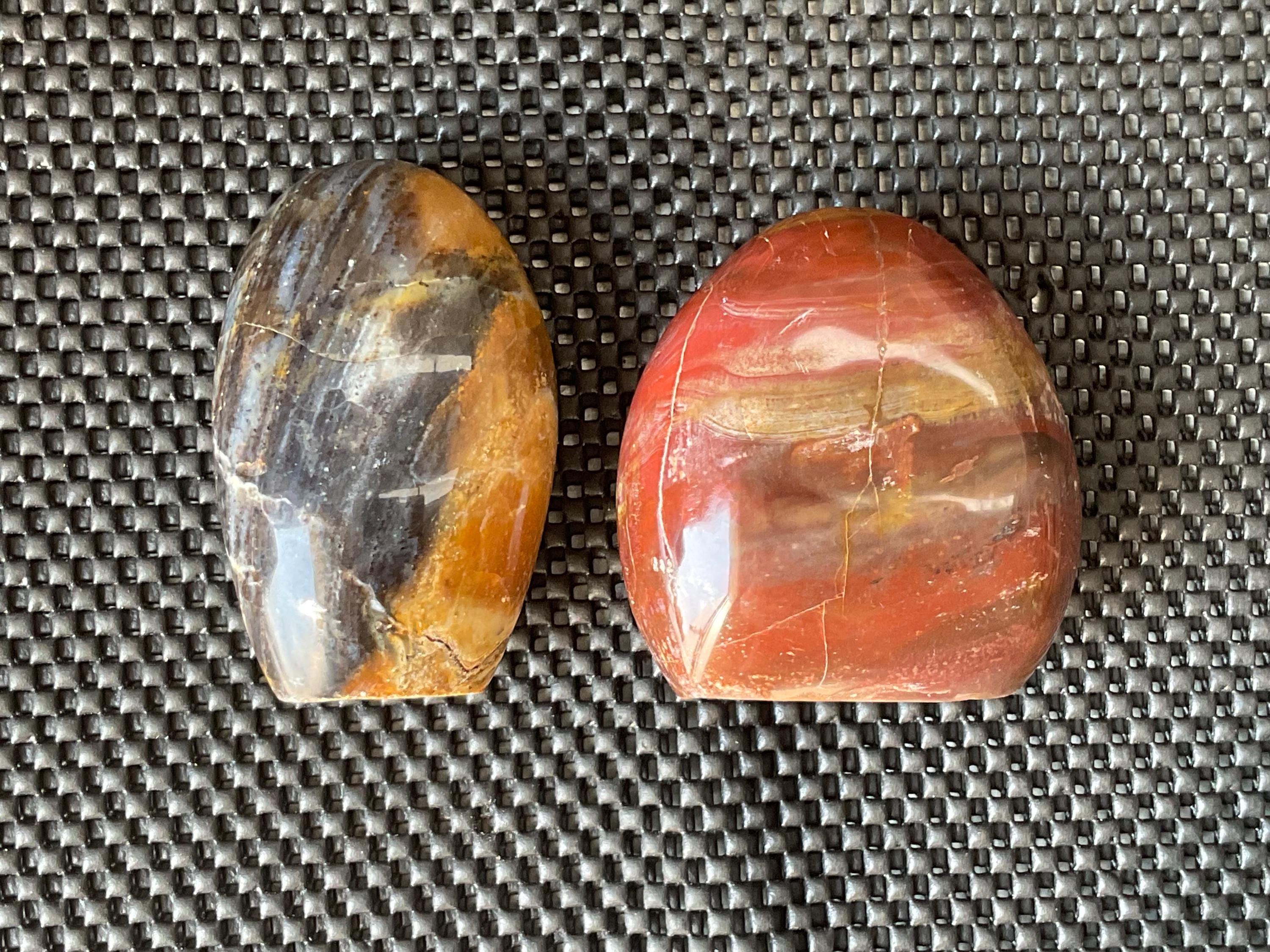 472g Petrified Wood Freeform B from Madagascar