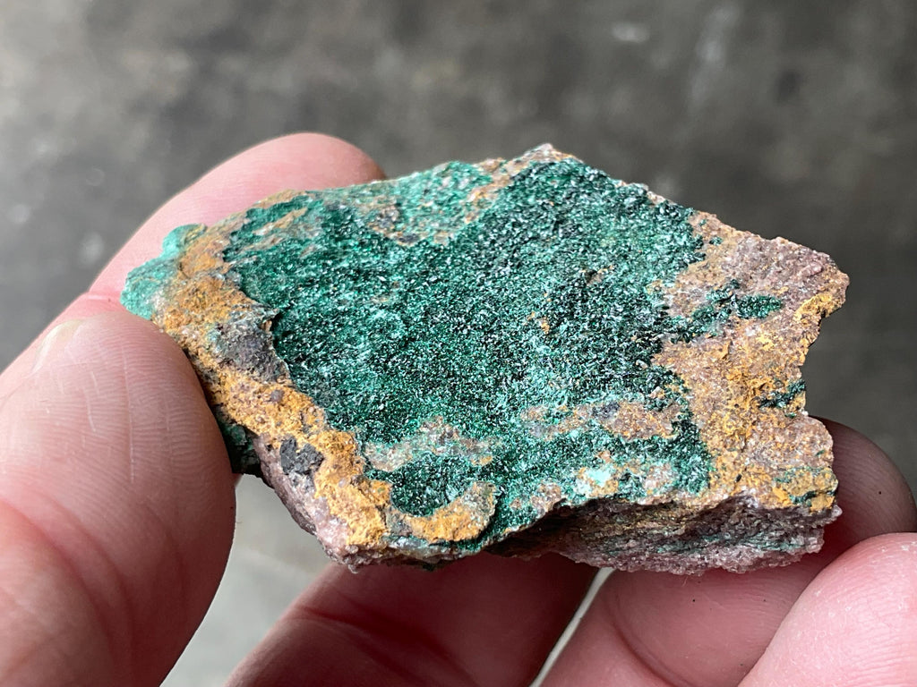 46g Atacamite Specimen 1B from Mt Gunson