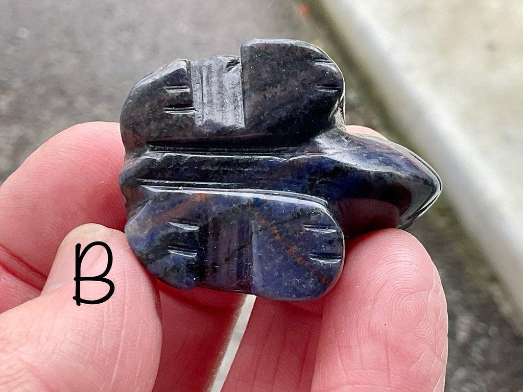 Sodalite Small Turtle Group 1