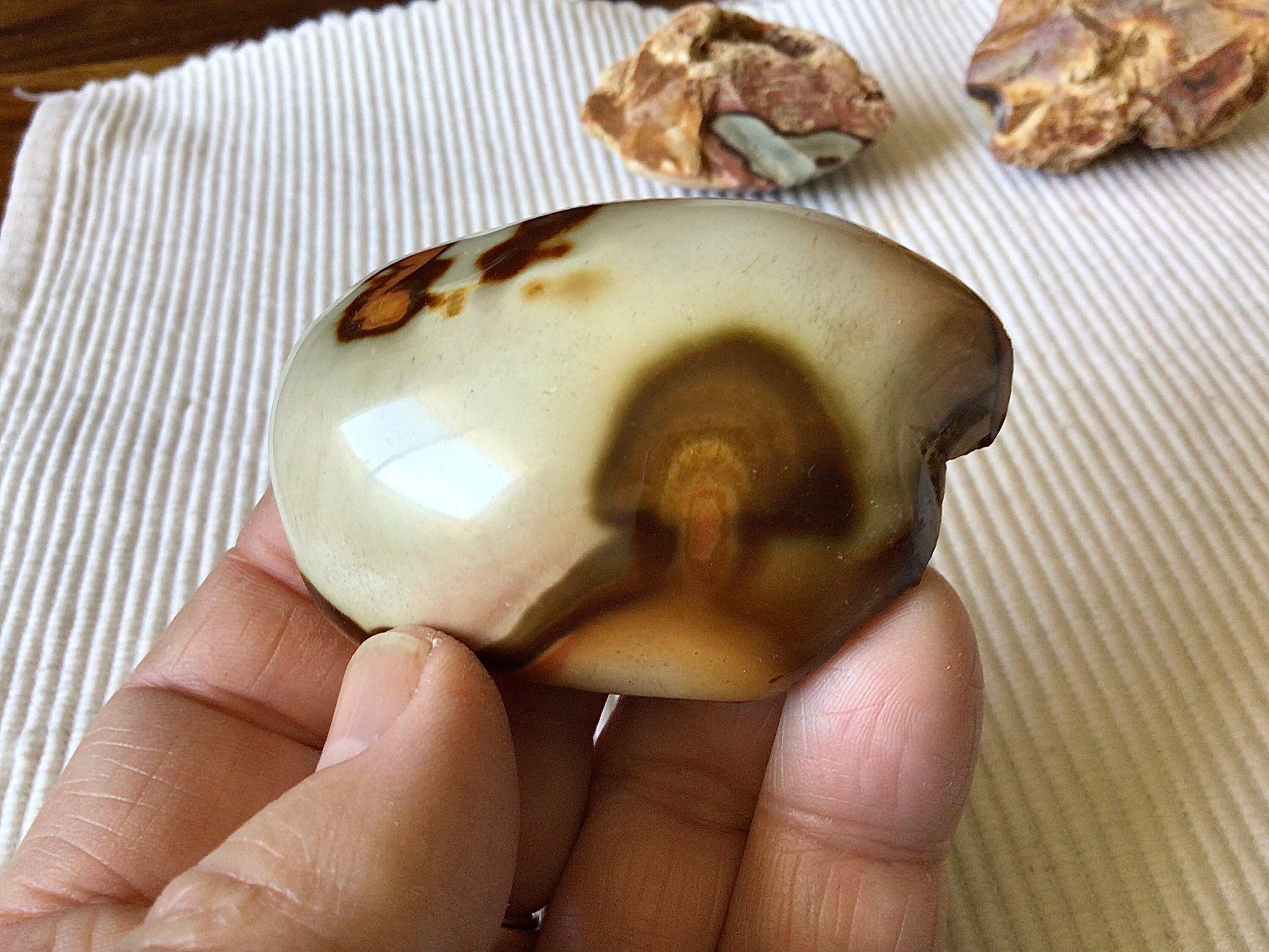 73g Polychrome Jasper One Side Polished 13B