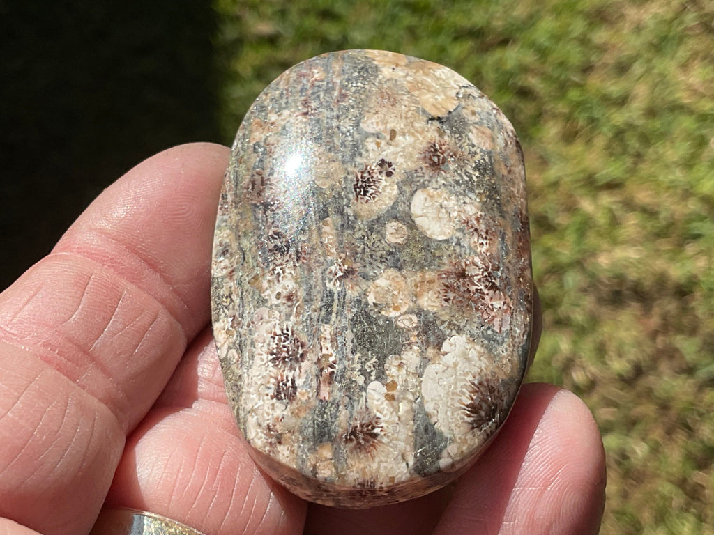 52g Green Cherry Blossom Jasper Palmstone 9B