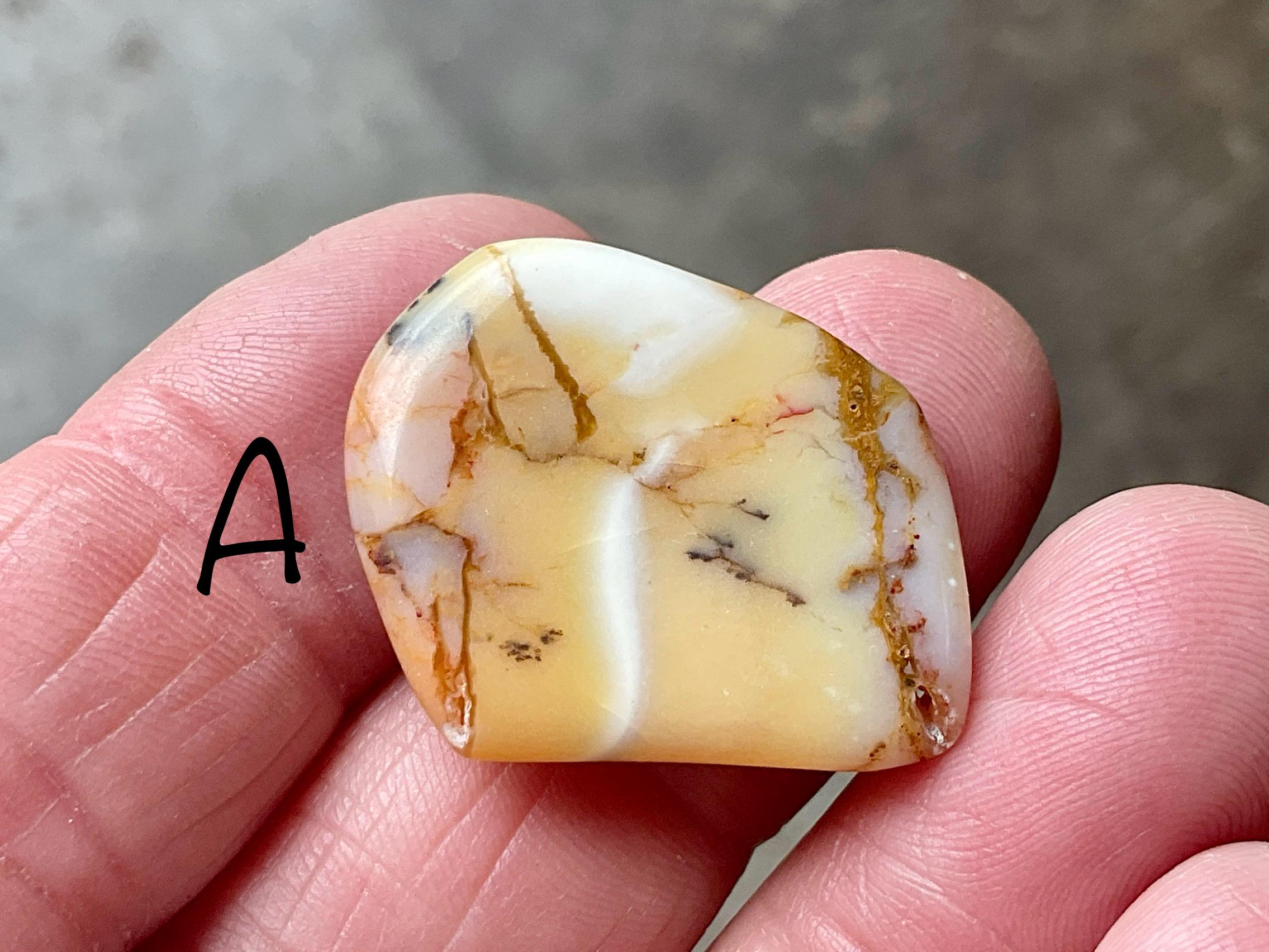 Western Australian ‘Rosella’ Dendritic Opalite Flat Stone Group