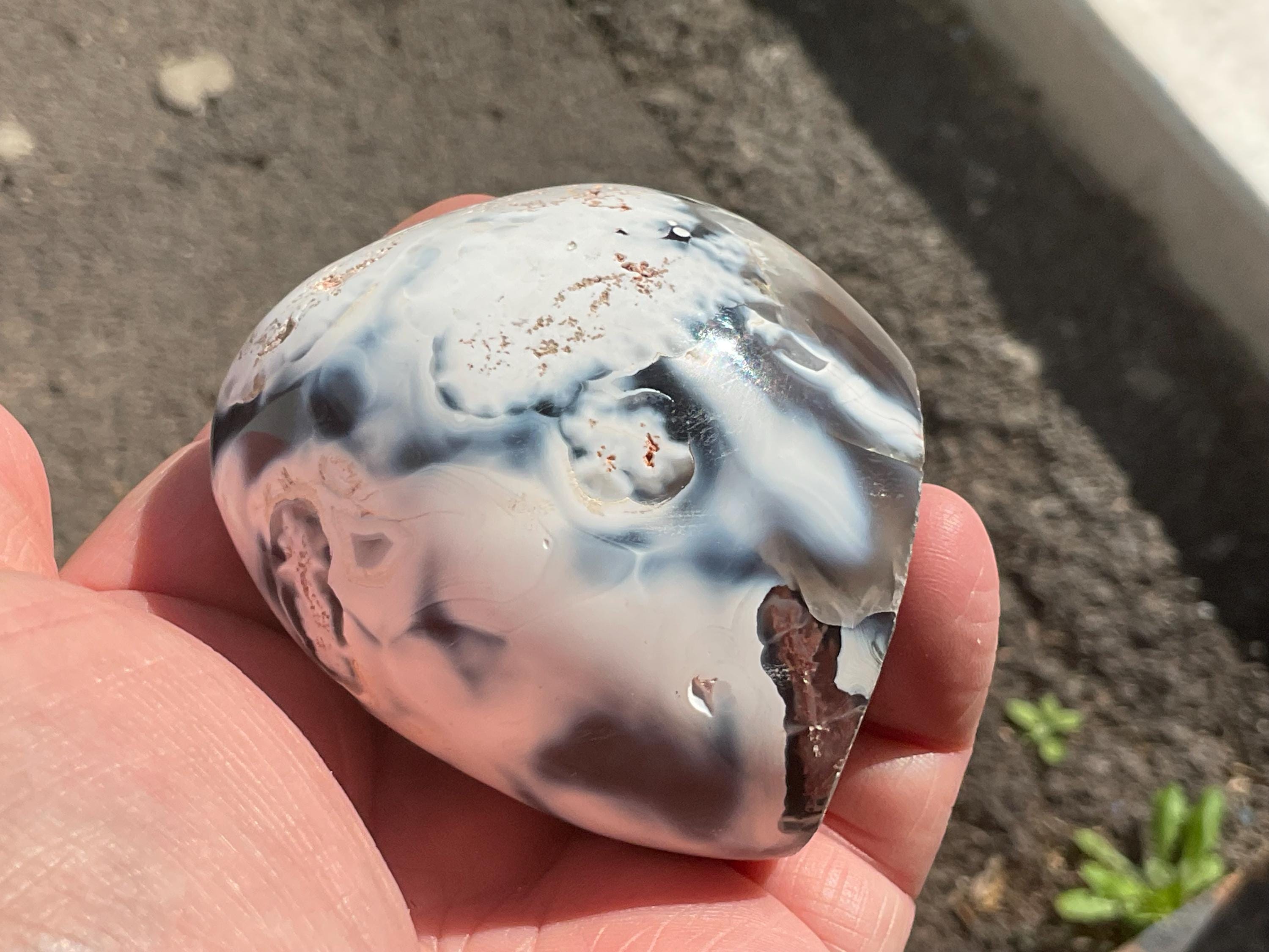 248g Orca Agate Freeform A