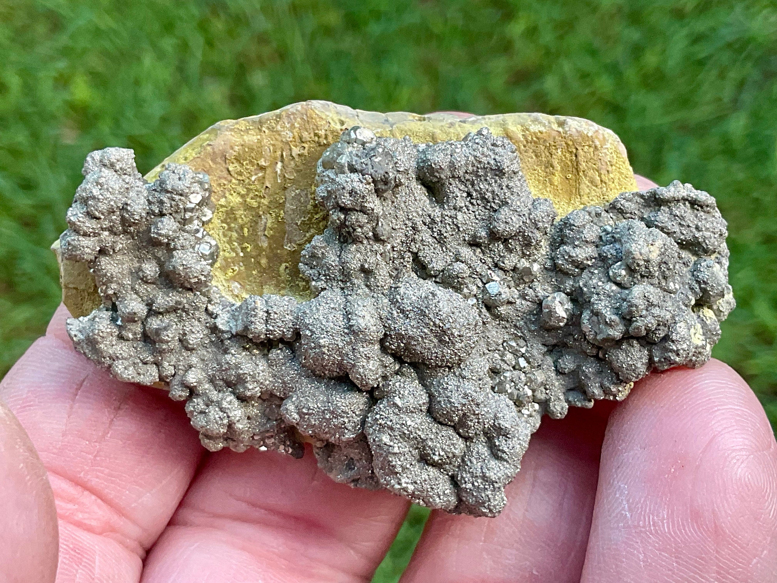 50g Pyrite on Limonite Specimen 1C
