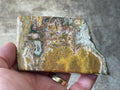 180g Ocean Jasper Polished Slab 3B
