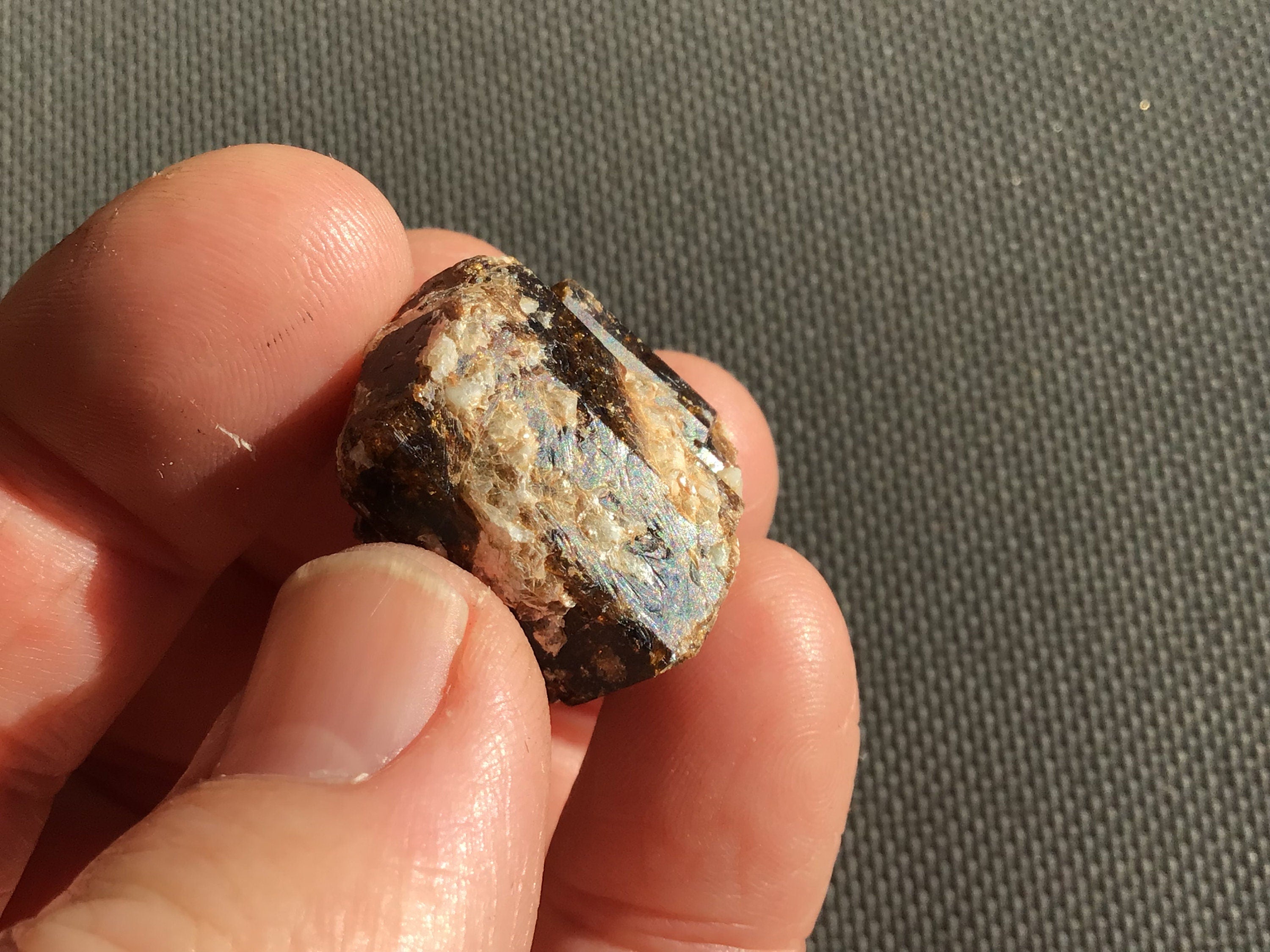 19g Yinnietharra Dravite Specimen 16D