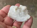 34g Rams Horn Selenite Specimen 6C