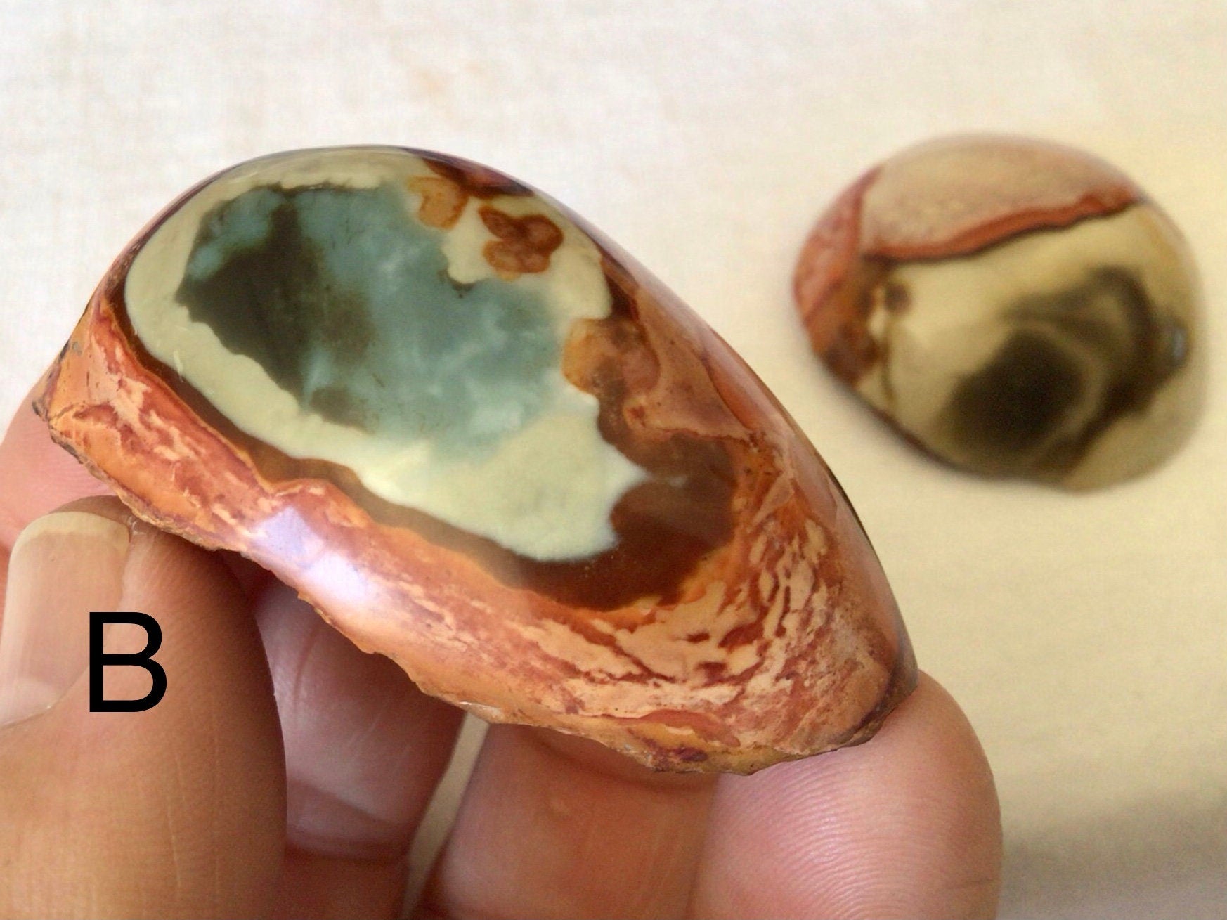 Polychrome Jasper One Side Polished Palmstone Group 3