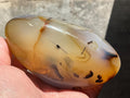 540g Dendritic Agate Freeform