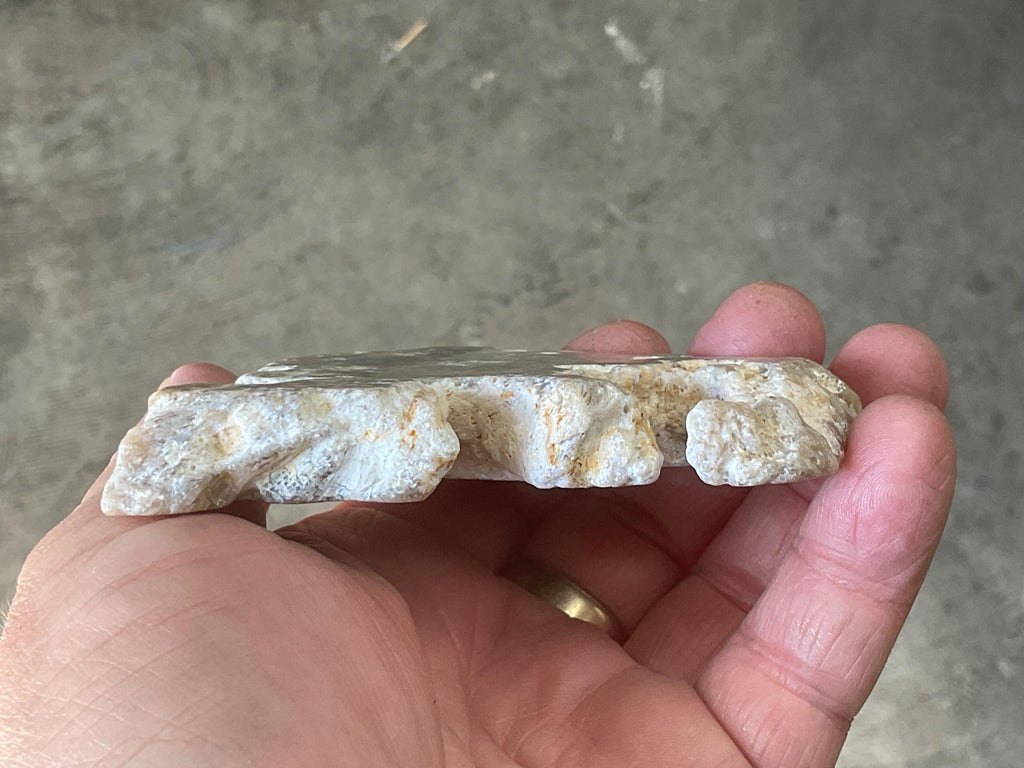 138g Fossilized/Agatised Coral Slab 2B