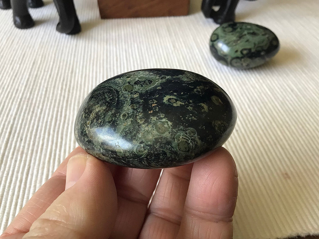 119g Kambaba Jasper Palmstone 3C