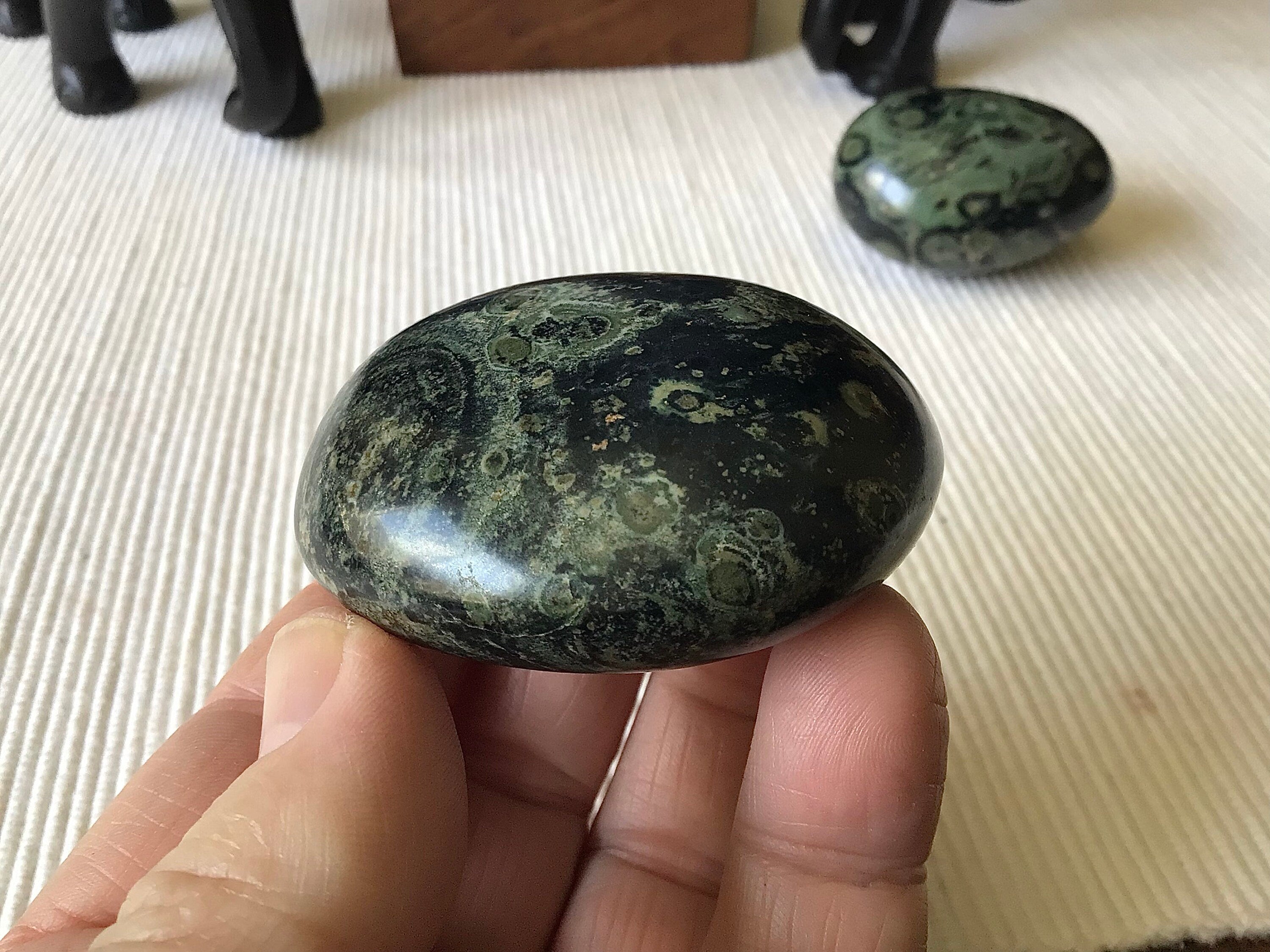 119g Kambaba Jasper Palmstone 3C