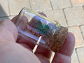 Bismuth Specimen Display Bottle 5B