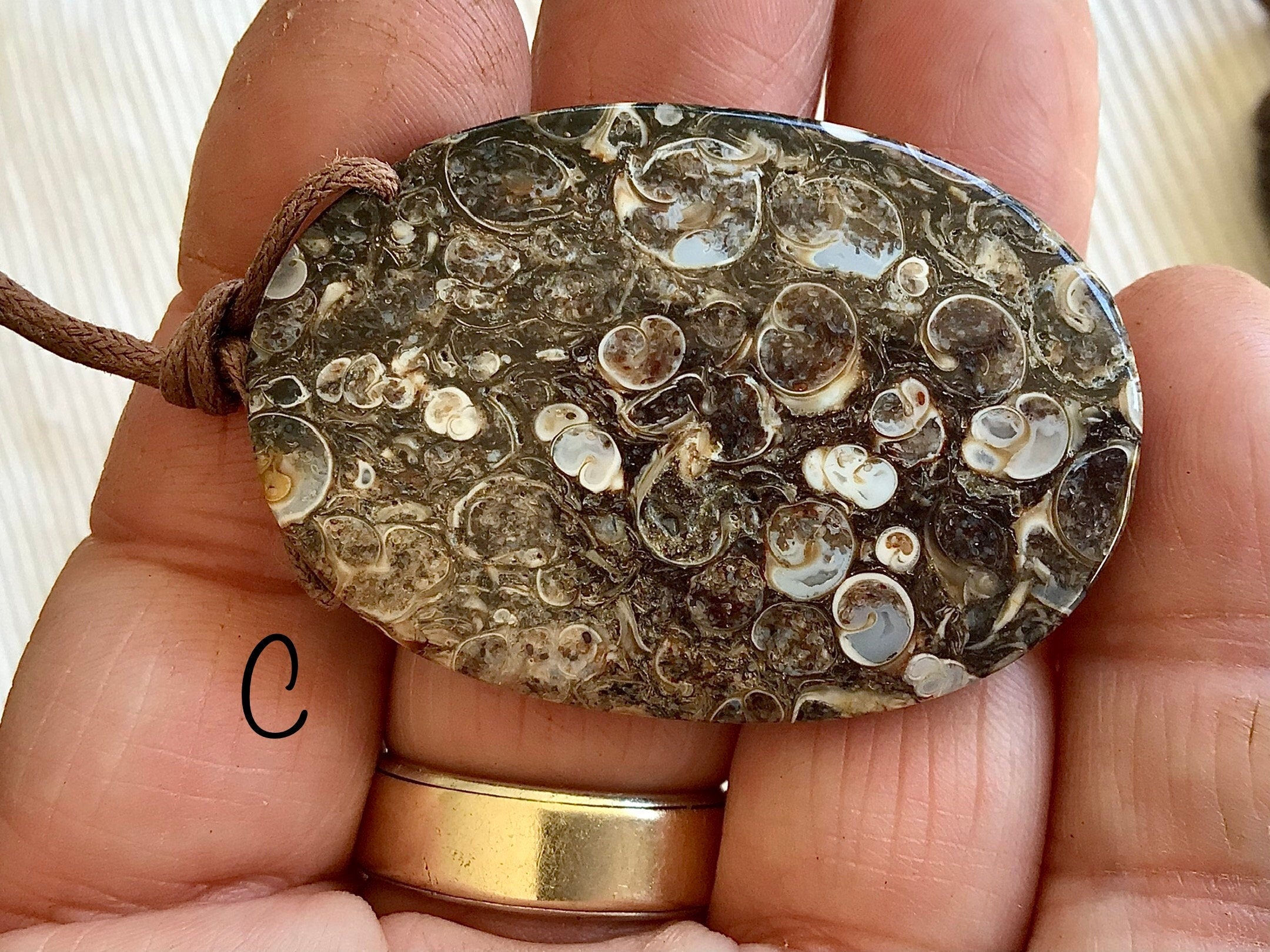 Large Turitella Agate Polished Pendant Group 3